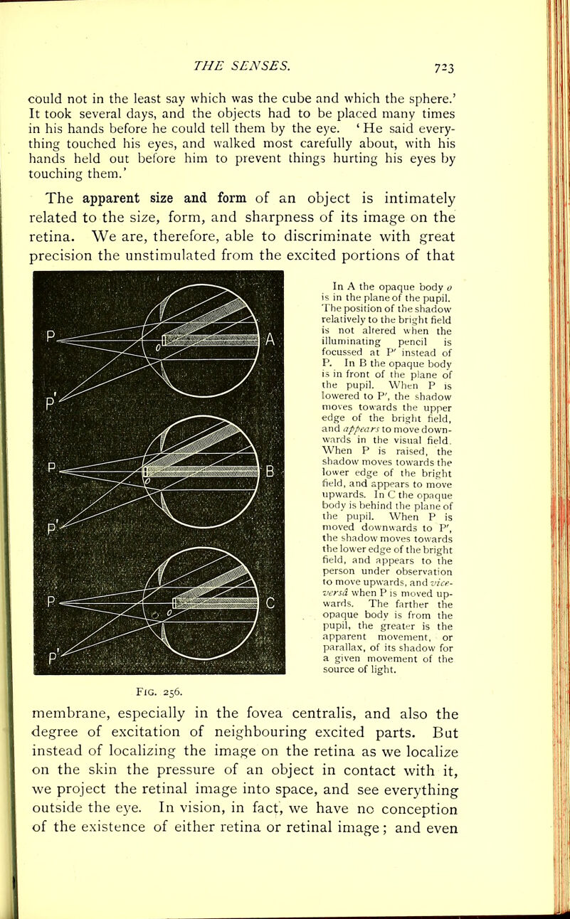 could not in the least say which was the cube and which the sphere.’ It took several days, and the objects had to be placed many times in his hands before he could tell them by the eye. ‘ He said every- thing touched his eyes, and walked most carefully about, with his hands held out before him to prevent things hurting his eyes by touching them.’ The apparent size and form of an object is intimately related to the size, form, and sharpness of its image on the retina. We are, therefore, able to discriminate with great precision the unstimulated from the excited portions of that In A the opaque body 0 is in the plane of the pupil. The position of the shadow relatively to the bright field is not altered when the illuminating pencil is focussed at P' instead of P. In B the opaque body is in front of the plane of the pupil. When P is lowered to P', the shadow moves towards the upper edge of the bright field, and appears to move down- wards in the visual field. When P is raised, the shadow moves towards the lower edge of the bright field, and appears to move upwards. In C the opaque body is behind the plane of the pupil. When P is moved downwards to P', the shadow moves towards the lower edge of the bright field, and appears to the person under observation to move upwards, and vice- versa. when P is moved up- wards. The farther the opaque body is from the pupil, the greater is the apparent movement, or parallax, of its shadow for a given movement of the source of light. Fig. 256. membrane, especially in the fovea centralis, and also the degree of excitation of neighbouring excited parts. But instead of localizing the image on the retina as we localize on the skin the pressure of an object in contact with it, we project the retinal image into space, and see everything outside the eye. In vision, in fact, we have no conception of the existence of either retina or retinal image; and even