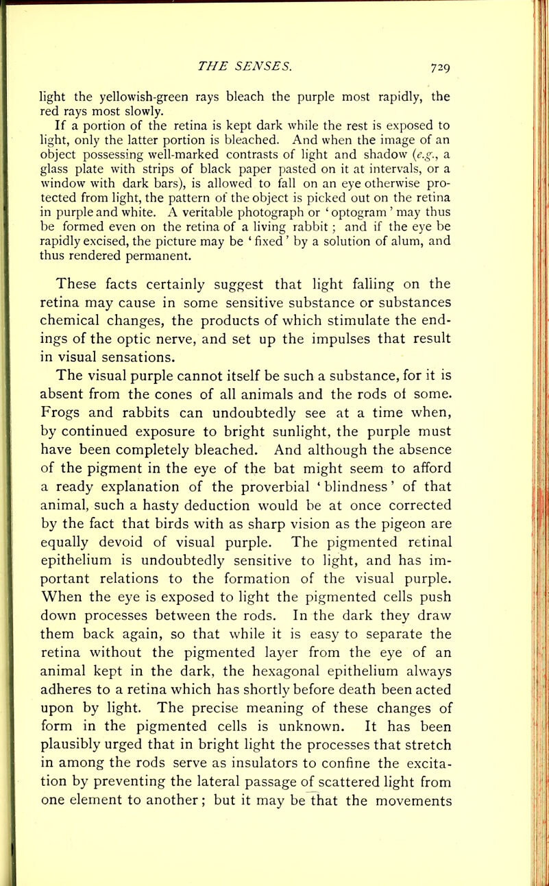 light the yellowish-green rays bleach the purple most rapidly, the red rays most slowly. If a portion of the retina is kept dark while the rest is exposed to light, only the latter portion is bleached. And when the image of an object possessing well-marked contrasts of light and shadow (e.g., a glass plate with strips of black paper pasted on it at intervals, or a window with dark bars), is allowed to fall on an eye otherwise pro- tected from light, the pattern of the object is picked out on the retina in purple and white. A veritable photograph or ‘ optogram ’ may thus be formed even on the retina of a living rabbit; and if the eye be rapidly excised, the picture may be ‘fixed’ by a solution of alum, and thus rendered permanent. These facts certainly suggest that light falling on the retina may cause in some sensitive substance or substances chemical changes, the products of which stimulate the end- ings of the optic nerve, and set up the impulses that result in visual sensations. The visual purple cannot itself be such a substance, for it is absent from the cones of all animals and the rods ot some. Frogs and rabbits can undoubtedly see at a time when, by continued exposure to bright sunlight, the purple must have been completely bleached. And although the absence of the pigment in the eye of the bat might seem to afford a ready explanation of the proverbial ‘ blindness ’ of that animal, such a hasty deduction would be at once corrected by the fact that birds with as sharp vision as the pigeon are equally devoid of visual purple. The pigmented retinal epithelium is undoubtedly sensitive to light, and has im- portant relations to the formation of the visual purple. When the eye is exposed to light the pigmented cells push down processes between the rods. In the dark they draw them back again, so that while it is easy to separate the retina without the pigmented layer from the eye of an animal kept in the dark, the hexagonal epithelium always adheres to a retina which has shortly before death been acted upon by light. The precise meaning of these changes of form in the pigmented cells is unknown. It has been plausibly urged that in bright light the processes that stretch in among the rods serve as insulators to confine the excita- tion by preventing the lateral passage of scattered light from one element to another; but it may be that the movements
