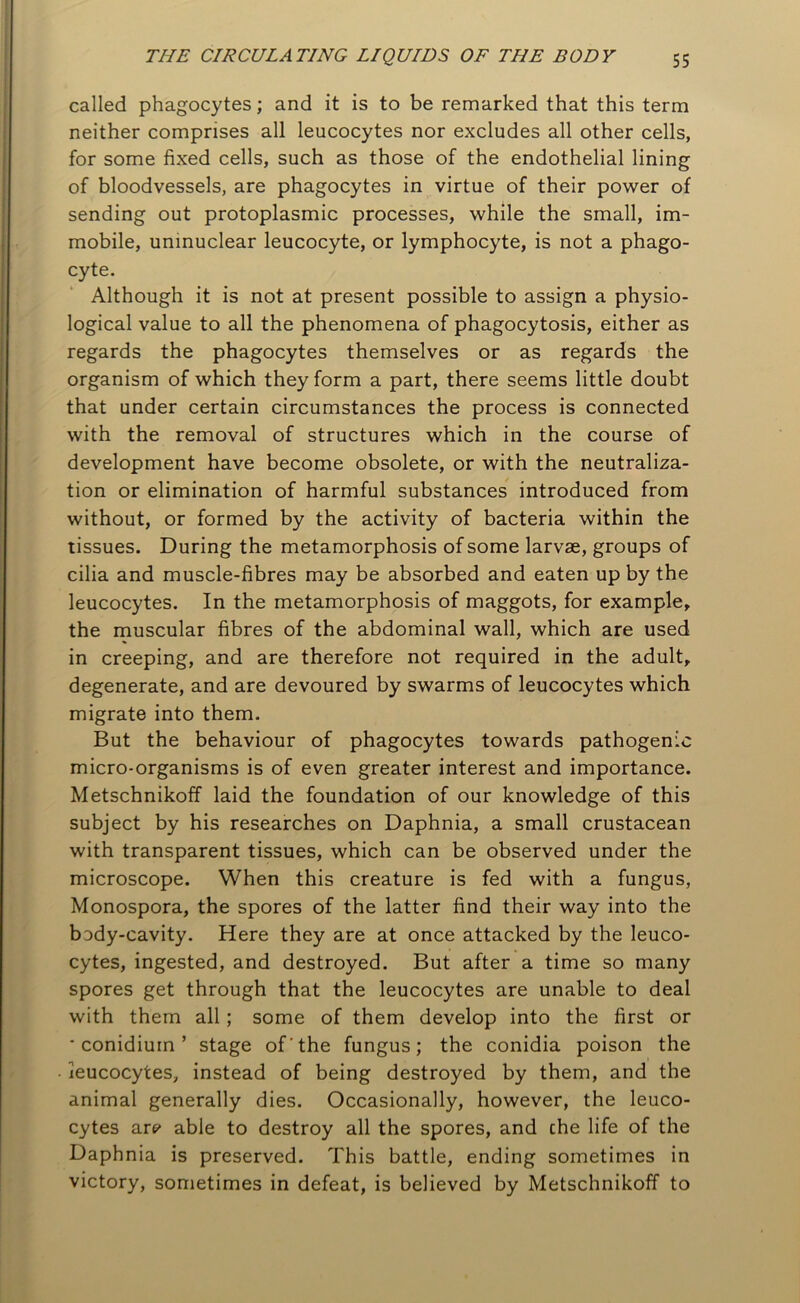 called phagocytes; and it is to be remarked that this term neither comprises all leucocytes nor excludes all other cells, for some fixed cells, such as those of the endothelial lining of bloodvessels, are phagocytes in virtue of their power of sending out protoplasmic processes, while the small, im- mobile, uninuclear leucocyte, or lymphocyte, is not a phago- cyte. Although it is not at present possible to assign a physio- logical value to all the phenomena of phagocytosis, either as regards the phagocytes themselves or as regards the organism of which they form a part, there seems little doubt that under certain circumstances the process is connected with the removal of structures which in the course of development have become obsolete, or with the neutraliza- tion or elimination of harmful substances introduced from without, or formed by the activity of bacteria within the tissues. During the metamorphosis of some larvae, groups of cilia and muscle-fibres may be absorbed and eaten up by the leucocytes. In the metamorphosis of maggots, for example, the muscular fibres of the abdominal wall, which are used in creeping, and are therefore not required in the adult, degenerate, and are devoured by swarms of leucocytes which migrate into them. But the behaviour of phagocytes towards pathogenic micro-organisms is of even greater interest and importance. Metschnikoff laid the foundation of our knowledge of this subject by his researches on Daphnia, a small crustacean with transparent tissues, which can be observed under the microscope. When this creature is fed with a fungus, Monospora, the spores of the latter find their way into the bady-cavity. Here they are at once attacked by the leuco- cytes, ingested, and destroyed. But after a time so many spores get through that the leucocytes are unable to deal with them all ; some of them develop into the first or ' conidium ’ stage of'the fungus; the conidia poison the leucocytes, instead of being destroyed by them, and the animal generally dies. Occasionally, however, the leuco- cytes are* able to destroy all the spores, and che life of the Daphnia is preserved. This battle, ending sometimes in victory, sometimes in defeat, is believed by Metschnikoff to