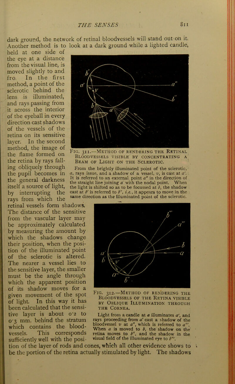 dark ground, the network of retinal bloodvessels will stand out on it. Another method is to look at a dark ground while a lighted candle, held at one side of the eye at a distance from the visual line, is moved slightly to and fro. In the first method, a point of the sclerotic behind the lens is illuminated, and rays passing from it across the interior of the eyeball in every direction cast shadows of the vessels of the retina on its sensitive layer. In the second method, the image of the flame formed on the retina by rays fall- ing obliquely through the pupil becomes in the general darkness itself a source of light, by interrupting the rays from which the retinal vessels form shadows. The distance of the sensitive from the vascular layer may be approximately calculated by measuring the amount by which the shadows change their position, when the posi- tion of the illuminated point of the sclerotic is altered. The nearer a vessel lies to the sensitive layer, the smaller must be the angle through which the apparent position of its shadow moves for a given movement of the spot of light. In this way it has been calculated that the sensi- tive layer is about o'2 to 0 3 mm. behind the stratum which contains the blood- vessels. This corresponds sufficiently well with the posi- tion of the layer of rods and cones, which all other evidence shows to be the portion of the retina actually stimulated by light. The shadow's Fig. 31 i.—Method of rendering the Retinal Bloodvessels visible by concentrating a Beam of Light on the Sclerotic. From the brightly illuminated point of the sclerotic, a, rays issue, and a shadow of a vessel, v, is cast at a'. It is referred to an external point a in the direction of the straight line joining a with the nodal point. When the light is shifted so as to be focussed at b, the shadow cast at b' is referred to b, i.e., it appears to move in the same direction as the illuminated point of the sclerotic. Fig. 312.—Method of rendering ti-ie Bloodvessels of the Retina visible by Oblique Illumination through the Cornea. Light from a candle at a illuminates a', and rays proceeding from a' cast a shadow of the bloodvessel v at a, which is referred to a'. When a is moved to b, the shadow on the retina moves to b, and the shadow in the visual field of the illuminated eye to b'. I