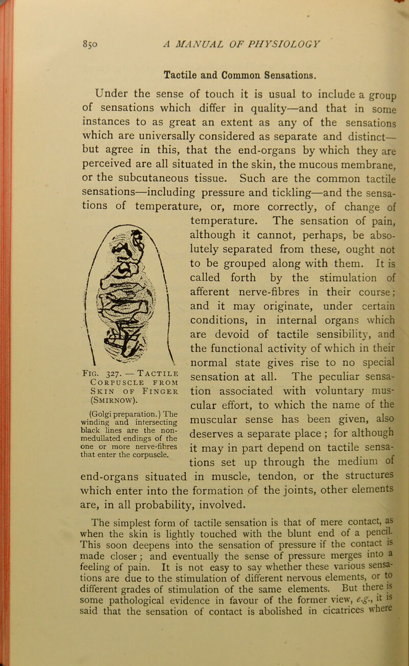 Tactile and Common Sensations. Under the sense of touch it is usual to include a group of sensations which differ in quality—and that in some instances to as great an extent as any of the sensations which are universally considered as separate and distinct— but agree in this, that the end-organs by which they are perceived are all situated in the skin, the mucous membrane, or the subcutaneous tissue. Such are the common tactile sensations—including pressure and tickling—and the sensa- tions of temperature, or, more correctly, of change of temperature. The sensation of pain, although it cannot, perhaps, be abso- lutely separated from these, ought not to be grouped along with them. It is called forth by the stimulation of afferent nerve-fibres in their course; and it may originate, under certain conditions, in internal organs which are devoid of tactile sensibility, and the functional activity of which in their normal state gives rise to no special sensation at all. The peculiar sensa- tion associated with voluntary mus- cular effort, to which the name of the muscular sense has been given, also deserves a separate place ; for although it may in part depend on tactile sensa- tions set up through the medium of end-organs situated in muscle, tendon, or the structures which enter into the formation of the joints, other elements are, in all probability, involved. The simplest form of tactile sensation is that of mere contact, as when the skin is lightly touched with the blunt end of a pencil. This soon deepens into the sensation of pressure if the contact is made closer; and eventually the sense of pressure merges into a feeling of pain. It is not easy to say whether these various sensa- tions are due to the stimulation of different nervous elements, or to different grades of stimulation of the same elements. But there is some pathological evidence in favour of the former view, e.g., it 1S said that the sensation of contact is abolished in cicatrices where Fig. 327. — Tactile Corpuscle from Skin of Finger (Smirnow). (Golgipreparation.) The winding and intersecting black lines are the non- medullated endings of the one or more nerve-fibres that enter the corpuscle.