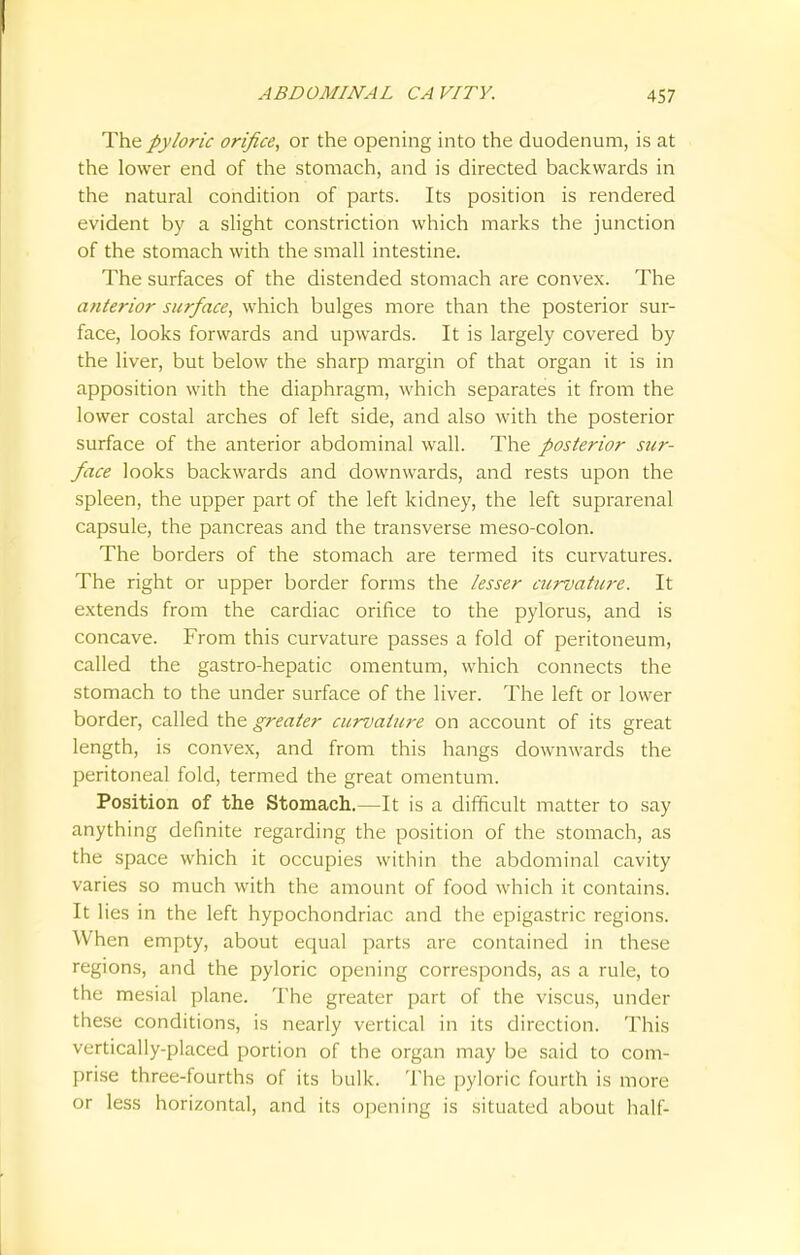 The pyloric orifice, or the opening into the duodenum, is at the lower end of the stomach, and is directed backwards in the natural condition of parts. Its position is rendered evident by a slight constriction which marks the junction of the stomach with the small intestine. The surfaces of the distended stomach are convex. The anterior surface, which bulges more than the posterior sur- face, looks forwards and upwards. It is largely covered by the liver, but below the sharp margin of that organ it is in apposition with the diaphragm, which separates it from the lower costal arches of left side, and also with the posterior surface of the anterior abdominal wall. The posterior sur- face looks backwards and downwards, and rests upon the spleen, the upper part of the left kidney, the left suprarenal capsule, the pancreas and the transverse meso-colon. The borders of the stomach are termed its curvatures. The right or upper border forms the lesser curvature. It extends from the cardiac orifice to the pylorus, and is concave. From this curvature passes a fold of peritoneum, called the gastro-hepatic omentum, which connects the stomach to the under surface of the liver. The left or lower border, called the greater curvature on account of its great length, is convex, and from this hangs downwards the peritoneal fold, termed the great omentum. Position of the Stomach.—It is a difficult matter to say anything definite regarding the position of the stomach, as the space which it occupies within the abdominal cavity varies so much with the amount of food which it contains. It lies in the left hypochondriac and the epigastric regions. When empty, about equal parts are contained in these regions, and the pyloric opening corresponds, as a rule, to the mesial plane. The greater part of the viscus, under these conditions, is nearly vertical in its direction. This vertically-placed portion of the organ may be said to com- prise three-fourths of its bulk. The pyloric fourth is more or less horizontal, and its opening is situated about half*
