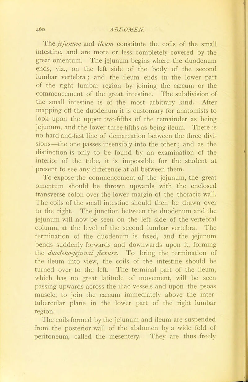 The jejunum and ileum constitute the coils of the small intestine, and are more or less completely covered by the great omentum. The jejunum begins where the duodenum ends, viz., on the left side of the body of the second lumbar vertebra; and the ileum ends in the lower part of the right lumbar region by joining the caecum or the commencement of the great intestine. The subdivision of the small intestine is of the most arbitrary kind. After mapping off the duodenum it is customary for anatomists to look upon the upper two-fifths of the remainder as being jejunum, and the lower three-fifths as being ileum. There is no hard-and-fast line of demarcation between the three divi- sions—the one passes insensibly into the other; and as the distinction is only to be found by an examination of the interior of the tube, it is impossible for the student at present to see any difference at all between them. To expose the commencement of the jejunum, the great omentum should be thrown upwards with the enclosed transverse colon over the lower margin of the thoracic wall. The coils of the small intestine should then be drawn over to the right. The junction between the duodenum and the jejunum will now be seen on the left side of the vertebral column, at the level of the second lumbar vertebra. The termination of the duodenum is fixed, and the jejunum bends suddenly forwards and downwards upon it, forming the duodenojejunal jlexure. To bring the termination of the ileum into view, the coils of the intestine should be turned over to the left. The terminal part of the ileum, which has no great latitude of movement, will be seen passing upwards across the iliac vessels and upon the psoas muscle, to join the caecum immediately above the inter- tubercular plane in the lower part of the right lumbar region. The coils formed by the jejunum and ileum are suspended from the posterior wall of the abdomen by a wide fold of peritoneum, called the mesentery. They are thus freely