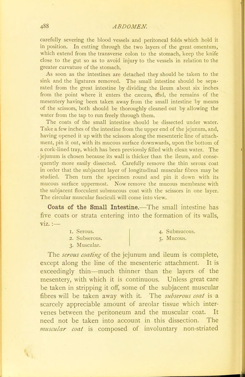 carefully severing the blood vessels and peritoneal folds which hold it in position. In cutting through the two layers of the great omentum, which extend from the transverse colon to the stomach, keep the knife close to the gut so as to avoid injury to the vessels in relation to the greater curvature of the stomach. As soon as the intestines are detached they should be taken to the sink and the ligatures removed. The small intestine should be sepa- rated from the great intestine by dividing the ileum about six inches from the point where it enters the caecum, a'hd, the remains of the mesentery having been taken away from the small intestine by means of the scissors, both should be thoroughly cleaned out by allowing the water from the tap to run freely through them. The coats of the small intestine should be dissected under water. Take a few inches of the intestine from the upper end of the jejunum, and, having opened it up with the scissors along the mesenteric line of attach- ment, pin it out, with its mucous surface downwards, upon the bottom of a cork-lined tray, which has been previously filled with clean water. The jejunum is chosen because its wall is thicker than the ileum, and conse- quently more easily dissected. Carefully remove the thin serous coat in order that the subjacent layer of longitudinal muscular fibres may be studied. Then turn the specimen round and pin it down with its mucous surface uppermost. Now remove the mucous membrane with the subjacent flocculent submucous coat with the scissors in one layer. The circular muscular fasciculi will come into view. Coats of the Small Intestine.—The small intestine has five coats or strata entering into the formation of its walls, viz. :— The serous coating of the jejunum and ileum is complete, except along the line of the mesenteric attachment. It is exceedingly thin—much thinner than the layers of the mesentery, with which it is continuous. Unless great care be taken in stripping it off, some of the subjacent muscular fibres will be taken away with it. The subserous coat is a scarcely appreciable amount of areolar tissue which inter- venes between the peritoneum and the muscular coat. It need not be taken into account in this dissection. The muscular coat is composed of involuntary non-striated 1. Serous. 2. Subserous. 3. Muscular. 4. Submucous. 5. Mucous.