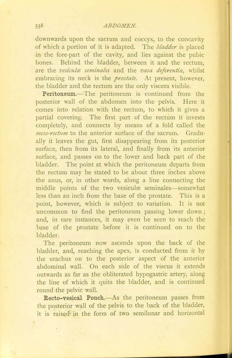 downwards upon the sacrum and coccyx, to the concavity of which a portion of it is adapted. The bladder is placed in the fore-part of the cavity, and lies against the pubic bones. Behind the bladder, between it and the rectum, are the vesicidce seminales and the vasa deferentia, whilst embracing its neck is the prostate. At present, however, the bladder and the rectum are the only viscera visible. Peritoneum.—The peritoneum is continued from the posterior wall of the abdomen into the pelvis. Here it comes into relation with the rectum, to which it gives a partial covering. The first part of the rectum it invests completely, and connects by means of a fold called the meso-rectum to the anterior surface of the sacrum. Gradu- ally it leaves the gut, first disappearing from its posterior surface, then from its lateral, and finally from its anterior surface, and passes on to the lower and back part of the bladder. The point at which the peritoneum departs from the rectum may be stated to be about three inches above the anus, or, in other words, along a line connecting the middle points of the two vesiculse seminales—somewhat less than an inch from the base of the prostate. This is a point, however, which is subject to variation. It is not uncommon to find the peritoneum passing lower down ; and, in rare instances, it may even be seen to reach the base of the prostate before it is continued on to the bladder. The peritoneum now ascends upon the back of the bladder, and, reaching the apex, is conducted from it by the urachus on to the posterior aspect of the anterior abdominal wall. On each side of the viscus it extends outwards as far as the obliterated hypogastric artery, along the line of which it quits the bladder, and is continued round the pelvic wall. Rectovesical Pouch.—As the peritoneum passes from the posterior wall of the pelvis to the back of the bladder, it is raised- in the form of two semilunar and horizontal