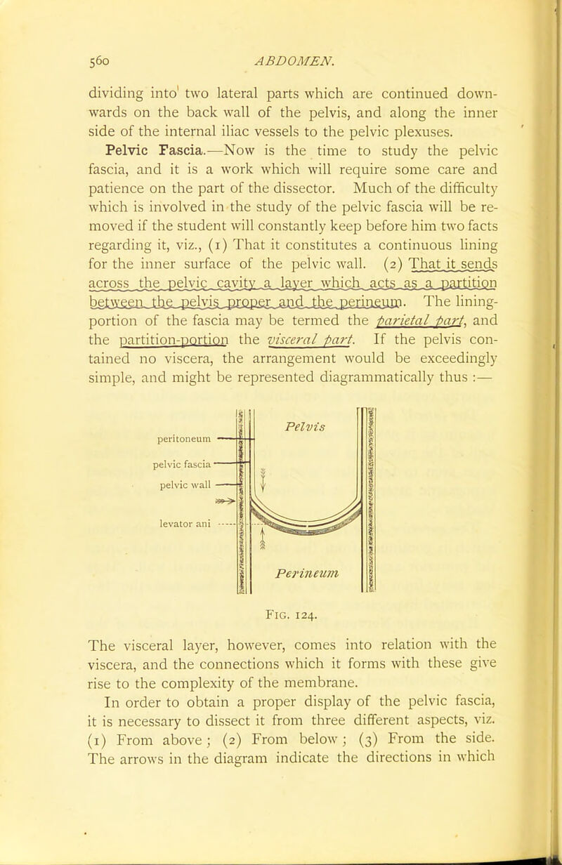 dividing into' two lateral parts which are continued down- wards on the back wall of the pelvis, and along the inner side of the internal iliac vessels to the pelvic plexuses. Pelvic Fascia.—Now is the time to study the pelvic fascia, and it is a work which will require some care and patience on the part of the dissector. Much of the difficulty which is involved in the study of the pelvic fascia will be re- moved if the student will constantly keep before him two facts regarding it, viz., (1) That it constitutes a continuous lining for the inner surface of the pelvic wall. (2) That.it.sends g££2g^he_pdvic -Cajity -3 Jayer_ which acts as a partition betvy^gjij^jidyia^r^ The lining- portion of the fascia may be termed the parietal fiart* and the partition-portion the visceral part. If the pelvis con- tained no viscera, the arrangement would be exceedingly simple, and might be represented diagrammatically thus :— Fig. 124. The visceral layer, however, comes into relation with the viscera, and the connections which it forms with these give rise to the complexity of the membrane. In order to obtain a proper display of the pelvic fascia, it is necessary to dissect it from three different aspects, viz. (1) From above; (2) From below; (3) From the side. The arrows in the diagram indicate the directions in which