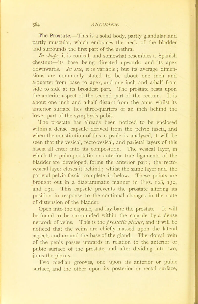 The Prostate.—This is a solid body, partly glandular .and partly muscular, which embraces the neck of the bladder and surrounds the first part of the urethra. In shape, it is conical, and somewhat resembles a Spanish chestnut—its base being directed upwards, and its apex downwards. In size, it is variable; but its average dimen- sions are commonly stated to be about one inch and a-quarter from base to apex, and one inch and a-half from side to side at its broadest part. The prostate rests upon the anterior aspect of the second part of the rectum. It is about one inch and a-half distant from the anus, whilst its anterior surface lies three-quarters of an inch behind the lower part of the symphysis pubis. The prostate has already been noticed to be enclosed within a dense capsule derived from the pelvic fascia, and when the constitution of this capsule is analysed, it will be seen that the vesical, recto-vesical, and parietal layers of this fascia all enter into its composition. The vesical layer, in which the pubo-prostatic or anterior true ligaments of the bladder are developed, forms the anterior part; the recto- vesical layer closes it behind; whilst the same layer and the parietal pelvic fascia complete it below. These points are brought out in a diagrammatic manner in Figs. 128, 130, and 131. This capsule prevents the prostate altering its position in response to the continual changes in the state of distension of the bladder. Open into the capsule, and lay bare the prostate. It will be found to be surrounded within the capsule by a dense network of veins. This is the prostatic plexus, and it will be noticed that the veins are chiefly massed upon the lateral aspects and around the base of the gland. The dorsal vein of the penis passes upwards in relation to the anterior or pubic surface of the prostate, and, after dividing into two, joins the plexus. Two median grooves, one upon its anterior or pubic surface, and the other upon its posterior or rectal surface,