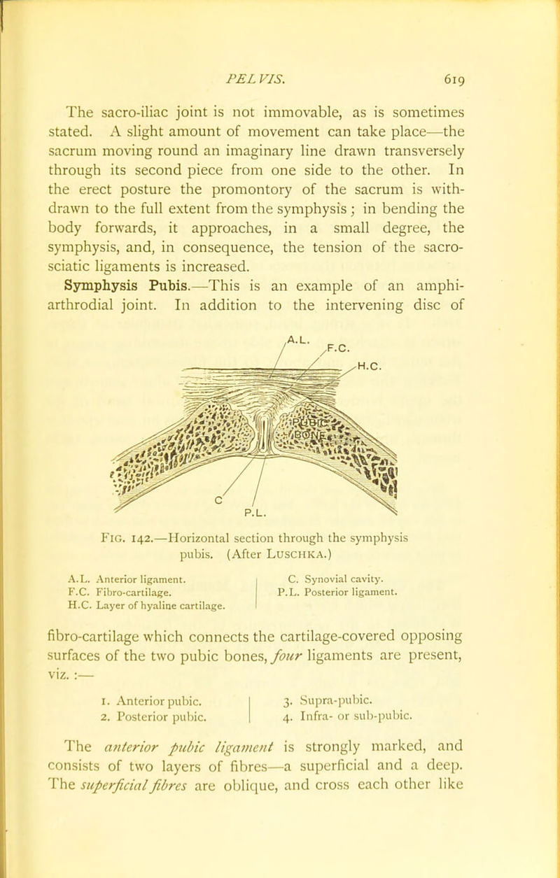 The sacro-iliac joint is not immovable, as is sometimes stated. A slight amount of movement can take place—the sacrum moving round an imaginary line drawn transversely through its second piece from one side to the other. In the erect posture the promontory of the sacrum is with- drawn to the full extent from the symphysis ; in bending the body forwards, it approaches, in a small degree, the symphysis, and, in consequence, the tension of the sacro- sciatic ligaments is increased. Symphysis Pubis.—This is an example of an amphi- arthrodial joint. In addition to the intervening disc of A.L. P.L. Fig. 142.—Horizontal section through the symphysis pubis. (After Luschka.) A.L. Anterior ligament. F.C. Fibro-cartilage. H.C. Layer of hyaline cartilage. C. Synovial cavity. P.L. Posterior ligament. fibro-cartilage which connects the cartilage-covered opposing surfaces of the two pubic bones, four ligaments are present, viz. :— 1. Anterior pubic. 2. Posterior pubic. 3. Supra-pubic. 4. Infra- or sub-pubic. The anterior pubic ligament is strongly marked, and consists of two layers of fibres—a superficial and a deep. The superficial fibres are oblique, and cross each other like