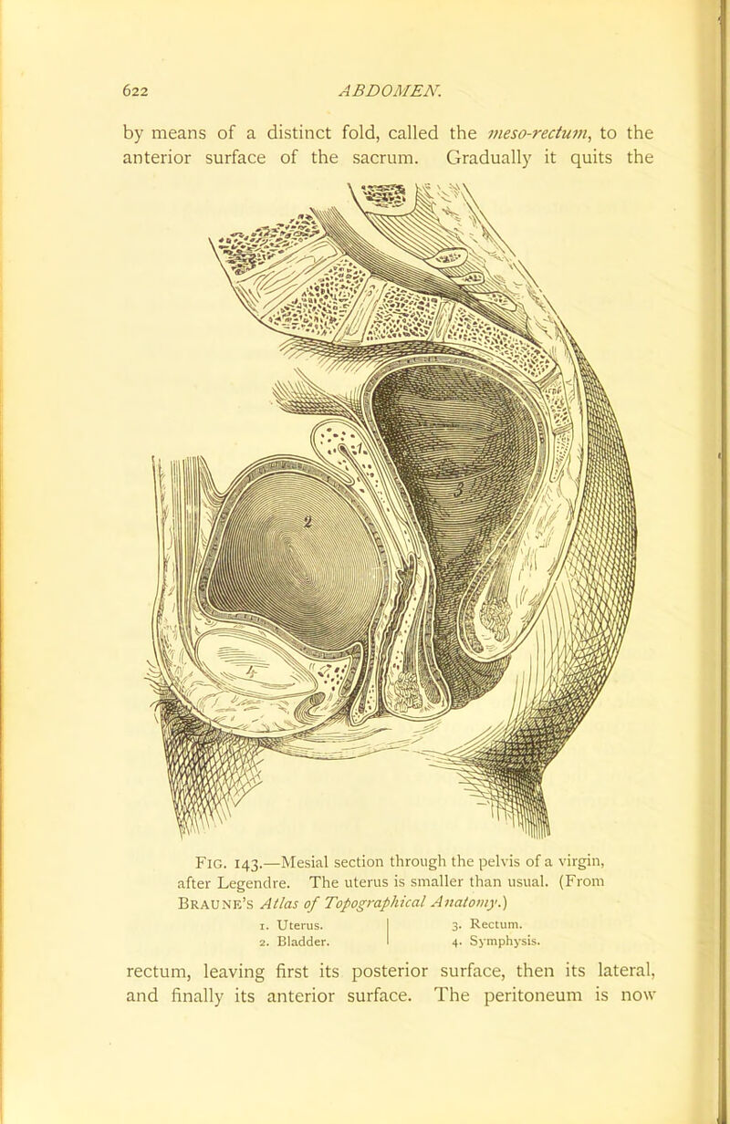 by means of a distinct fold, called the meso-rectum, to the anterior surface of the sacrum. Gradually it quits the Fig. 143.—Mesial section through the pelvis of a virgin, after Legendre. The uterus is smaller than usual. (From Braune's Atlas of Topographical Anatomy.) Is Uterus. 3- Rectum. 2. Bladder. 4. Symphysis. rectum, leaving first its posterior surface, then its lateral, and finally its anterior surface. The peritoneum is now