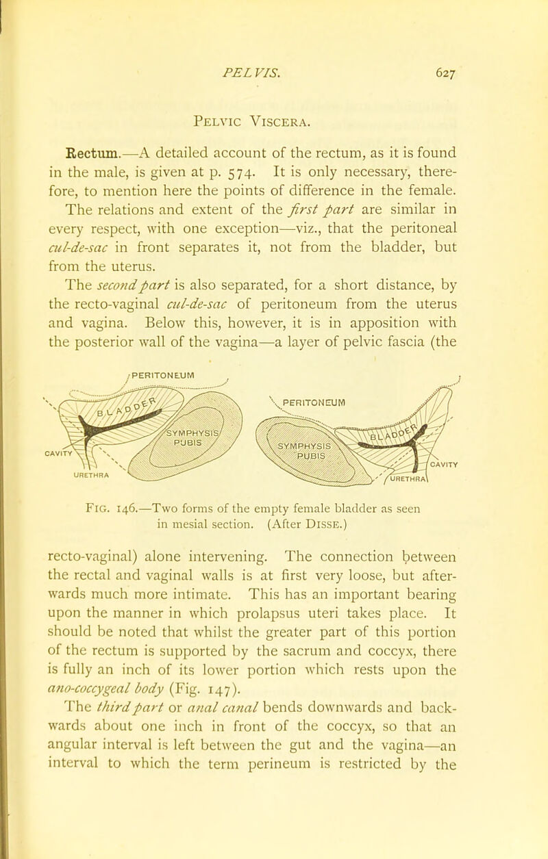 Pelvic Viscera. Eectum.—A detailed account of the rectum, as it is found in the male, is given at p. 574. It is only necessary, there- fore, to mention here the points of difference in the female. The relations and extent of the first part are similar in every respect, with one exception—viz., that the peritoneal ail-de-sac in front separates it, not from the bladder, but from the uterus. The second part is also separated, for a short distance, by the recto-vaginal cul-de-sac of peritoneum from the uterus and vagina. Below this, however, it is in apposition with the posterior wall of the vagina—a layer of pelvic fascia (the Fig. 146.—Two forms of the empty female bladder as seen in mesial section. (After Disse.) recto-vaginal) alone intervening. The connection between the rectal and vaginal walls is at first very loose, but after- wards much more intimate. This has an important bearing upon the manner in which prolapsus uteri takes place. It should be noted that whilst the greater part of this portion of the rectum is supported by the sacrum and coccyx, there is fully an inch of its lower portion which rests upon the ano-coccygeal body (Fig. 147). The third part or anal canal bends downwards and back- wards about one inch in front of the coccyx, so that an angular interval is left between the gut and the vagina—an interval to which the term perineum is restricted by the