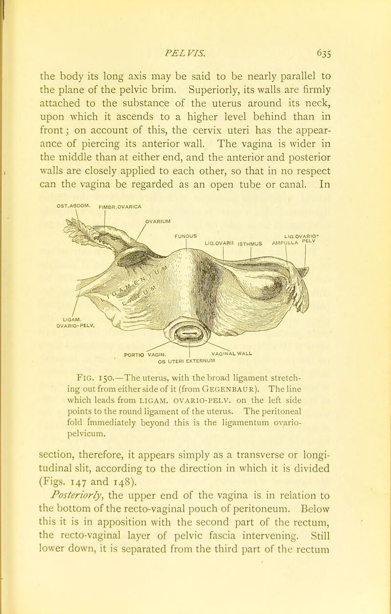 the body its long axis may be said to be nearly parallel to the plane of the pelvic brim. Superiorly, its walls are firmly attached to the substance of the uterus around its neck, upon which it ascends to a higher level behind than in front; on account of this, the cervix uteri has the appear- ance of piercing its anterior wall. The vagina is wider in the middle than at either end, and the anterior and posterior walls are closely applied to each other, so that in no respect can the vagina be regarded as an open tube or canal. In OST.ABDOM. FIMBR.OVARICA OS UTERI EXTERNUM Fig. 150.—The uterus, with the broad ligament stretch- ing out from either side of it (from Gegenbaur). The line which leads from LIGAM. ovario-pelv. on the left side points to the round ligament of the uterus. The peritoneal fold immediately beyond this is the ligamentum ovario- pelvicum. section, therefore, it appears simply as a transverse or longi- tudinal slit, according to the direction in which it is divided (Figs. 147 and 148). Posteriorly, the upper end of the vagina is in relation to the bottom of the recto-vaginal pouch of peritoneum. Below this it is in apposition with the second part of the rectum, the recto-vaginal layer of pelvic fascia intervening. Still lower down, it is separated from the third part of the rectum