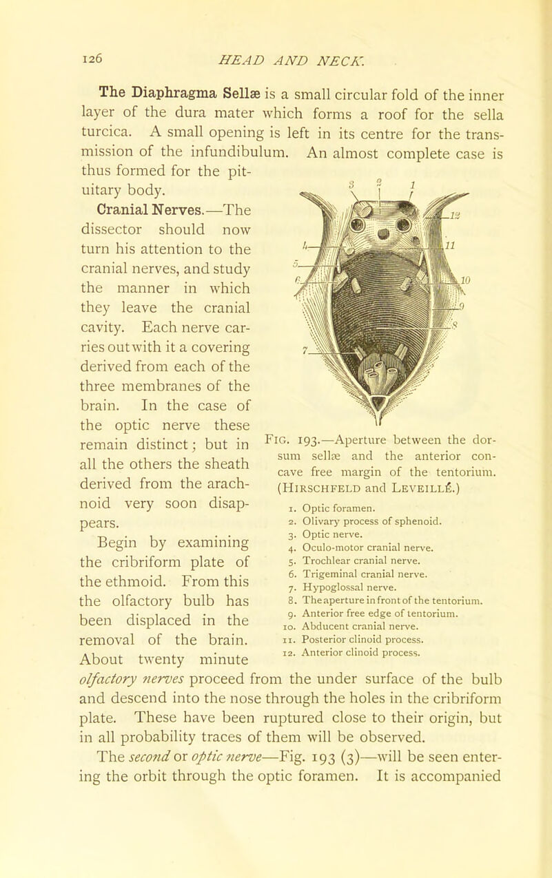 The Diaphragma Sellse is a small circular fold of the inner layer of the dura mater which forms a roof for the sella turcica. A small opening is left in its centre for the trans- mission of the infundibulum. An almost complete case is thus formed for the pit- uitary body. Cranial Nerves.—The dissector should now turn his attention to the cranial nerves, and study the manner in which they leave the cranial cavity. Each nerve car- ries out with it a covering derived from each of the three membranes of the brain. In the case of the optic nerve these remain distinct; but in all the others the sheath derived from the arach- noid very soon disap- pears. Begin by examining the cribriform plate of the ethmoid. From this the olfactory bulb has been displaced in the removal of the brain. About twenty minute olfactory nerves proceed from the under surface of the bulb and descend into the nose through the holes in the cribriform plate. These have been ruptured close to their origin, but in all probability traces of them will be observed. The second or optic nerve—Fig. 193 (3)—will be seen enter- ing the orbit through the optic foramen. It is accompanied Fig. 193.—Aperture between the dor- sum sellse and the anterior con- cave free margin of the tentorium. (HiRSCHFELD and Leveill£.) 1. Optic foramen. 2. Olivary process of sphenoid. 3. Optic nerve. 4. Oculo-motor cranial nerve. 5. Trochlear cranial nerve. 6. Trigeminal cranial nerve. 7. Hypoglossal nerve. 8. The aperture in front of the tentorium. 9. Anterior free edge of tentorium. 10. Abducent cranial nerve. 11. Posterior clinoid process. 12. Anterior clinoid process.