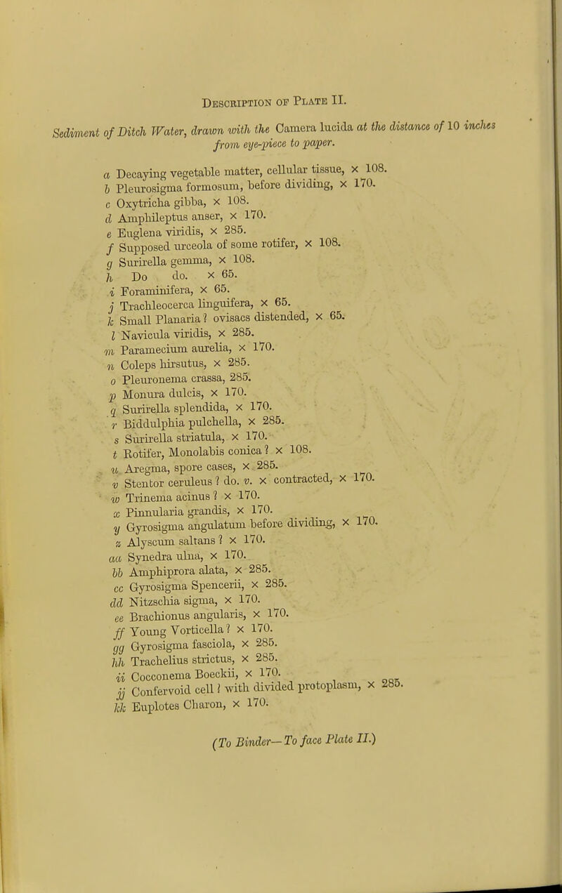 Sediment of Ditch Water, drawn with the Camera lucida at the distance of 10 inclies from eije-piece to paper. a Decaying vegetable matter, cellular tissue, x 108. 6 Pleurosigma formosum, before dividing, x 170. c Oxytricha gibba, x 108. d Ampliileptus anser, x 170. e Euglena viridis, x 285. / Supposed urceola of some rotifer, x 108. g Surkella gemma, x 108. h Do do. x 65. i Foraminifera, X 65. j Tracbleocerca linguifera, x 65. 7c Small Planaria i ovisacs distended, x 65. I Navicula viridis, X 285. m Paramecium aurelia, x 170. n Coleps birsutus, x 285. o Pleuronema crassa, 285. p Monura dulcis, x 170. q Surirella splendida, x 170. r Biddulpbia pulcbella, X 285. s Surirella striatula, x 170. t Kotifer, Monolabis conica ? x 108. u Aregma, spore cases, x 285. v Stentor ceruleus 1 do. v. x contracted, x 170. w Trinema acinus 1 x 170. x Pinnularia grandis, x 170. y Gyrosigma angulatum before dividing, x 170. z Alyscum saltans 1 x 170. aa Synedraulna, x 170.. bb Ampbiprora alata, x 285. cc Gyrosigma Spencerii, x 285. dd Nitzscliia sigma, x 170. ee Bracbionus angularis, x 170. ff Young Vorticella 1 x 170. gg Gyrosigma fasciola, x 285. hh Tracbelius strictus, x 285. ii Cocconema Boeckii, x 170. jj Confervoid cell 1 witb divided protoplasm, x 285. hh Euplotes Cbaron, x 170.