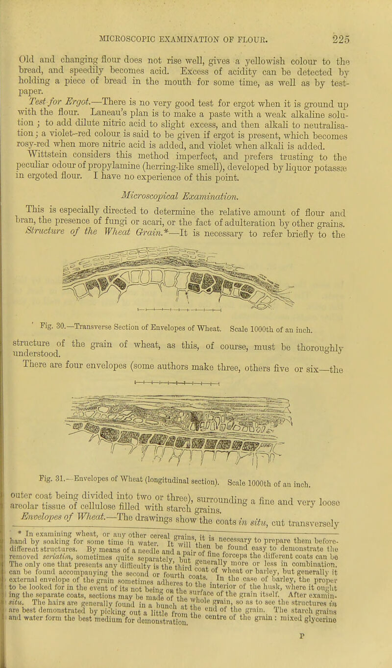 Old and changing flour does not rise well, gives a yellowish colour to the bread, and speedily becomes acid. Excess of acidity can be detected by holding a piece of bread in the mouth for some time, as well as by test- paper. Test for Ergot.—There is no very good test for ergot when it is ground up with the flour. Laneau's plan is to make a paste with a weak alkaline solu- tion ■ to add dilute nitric acid to slight excess, and then alkali to neutralisa- tion ; a violet-red colour is said to be given if ergot is present, which becomes rosy-red when more nitric acid is added, and violet when alkali is added. Wittstein considers this method imperfect, and prefers trusting to the peculiar odour of propylamine (herring-like smell), developed by liquor potassa? in ergoted flour. I have no experience of this point. Microscopical Examination. This is especially directed to determine the relative amount of flour and bran, the presence of fungi or acari, or the fact of adulteration by other grains. Stmcture of the Wheat Grain.*—It is necessary to refer briefly to the Fig. 30.—Transverse Section of Envelopes of Wheat. Scale 1000th of an inch. structure of the grain of wheat, as this, of course, must be thorouo-hlv understood. ° J There are four envelopes (some authors make three, others five or six—the H 1—1 Fig. Si-Envelopes of Wheat (longitndinal section). Scale 1000th of an inch. outer coat being divided into two or three) surrminrlinr, n a, „ i i areolar tissue of cellulose filled with 32 g ^ l008° Envelopes of meat—The dj^^w^^in^^ cut transversely « In examining wheat, or any other cereal erains it i. I « ; hand by soaking for some time in water It will V/ 18,nec,essaTy to prepare them before- different structures. By means of a needle and a mir f « * ul easy to demonstrate t!l^' removed seriatim,, sometimes quite separately bnf o forceps the different coats can bo The only one that presents any difficulty is theSe<>enilly more or less in combination, can be found accompanying the second or fourth fio^S t !^uM m h&t}*?> !,ut orally » external envelope of the grain sometimes adhere t«ti • In • 0 case of barley> tlje proper to be looked for in the event of its notbeW ontL», ? mtT?T of tbe husk' where & ing the separate coats, sections may be made of rh« , , aco of t],e Rlai» Itself. After examin- situ. The hairs are generally found in a bunch .t HT V*?> 80 ns to sue t,lc stretnres in are best demonstrated by pickinc out i HtfE rL, 110 md of t,l° Srain- Tlle starch grains and water form the best aeol^CaeVonstSoS C6ntre of th° graiu: mixed SW»