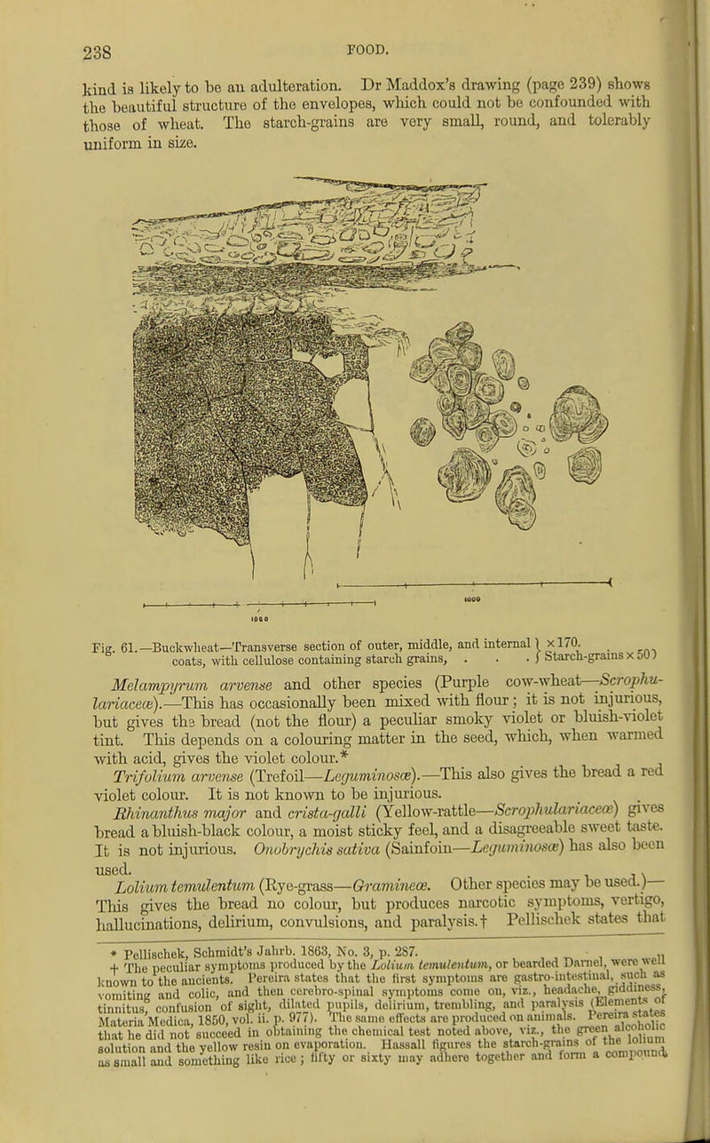 kind is likely to be an adulteration. Dr Maddox's drawing (page 239) shows the beautiful structure of the envelopes, which could not be confounded with those of wheat. The starch-grains are very small, round, and tolerably uniform in size. Fig. 61.—Buckwheat—Transverse section of outer, middle, and internal 1 ><170. coats, with cellulose containing starch grains, . . . j Starch-grams x ou; Melampyrwm arventse and other species (Purple cow-wheat—Scrophu- lariacece).— This has occasionally been mixed with flour; it is not injurious, but gives the bread (not the flour) a peculiar smoky violet or bluish-violet tint. This depends on a colouring matter in the seed, which, when warmed with acid, gives the violet colour.* Trifoliurn arvense (Trefoil—Leguminosce).— This also gives the bread a red violet colour. It is not known to be injurious. Rhinanthus major and crista-galli (Yellow-rattle—Scropliulariacem) gives bread a bluish-black colour, a moist sticky feel and a disagreeable sweet taste. It is not injurious. Onobrycliis sativa (Sainfoin—Leguminosce) has also be< n used. . Lolium temulentum (Rye-grass—Graminece, Other species may be used. )— This gives the bread no colour, but produces narcotic symptoms, vertigo, hallucinations, delirium, convulsions, and paralysis, f PeUischek states that * Pellischek, Schmidt's Jahrb. 1863, No. 3, p. 287. - „ + The peculiar symptoms produced by the Lolium temulentum, or bearded Janici, were ^eu known to the ancients. Pereira states that the first symptoms are gastro intestinal, such as vomiting and colic, and then ccrebro-spinal symptoms come on, viz., headache, giddiness, tinnitus, contusion of right, dilated pupils, delirium, trembling, and paralysis (E^nts^t Materia Medica 1850, vol. ii. p. 9<I )• The same effects are produced on animals. Pereira states that he did not'succeed in obtaining the chemical test noted above, viz., the green w™?™ solution and the yellow resin on evaporation. Hassall figures the sterch-grains of thelottum as small and something like rice ; liity or sixty may adhere together and form a compound.