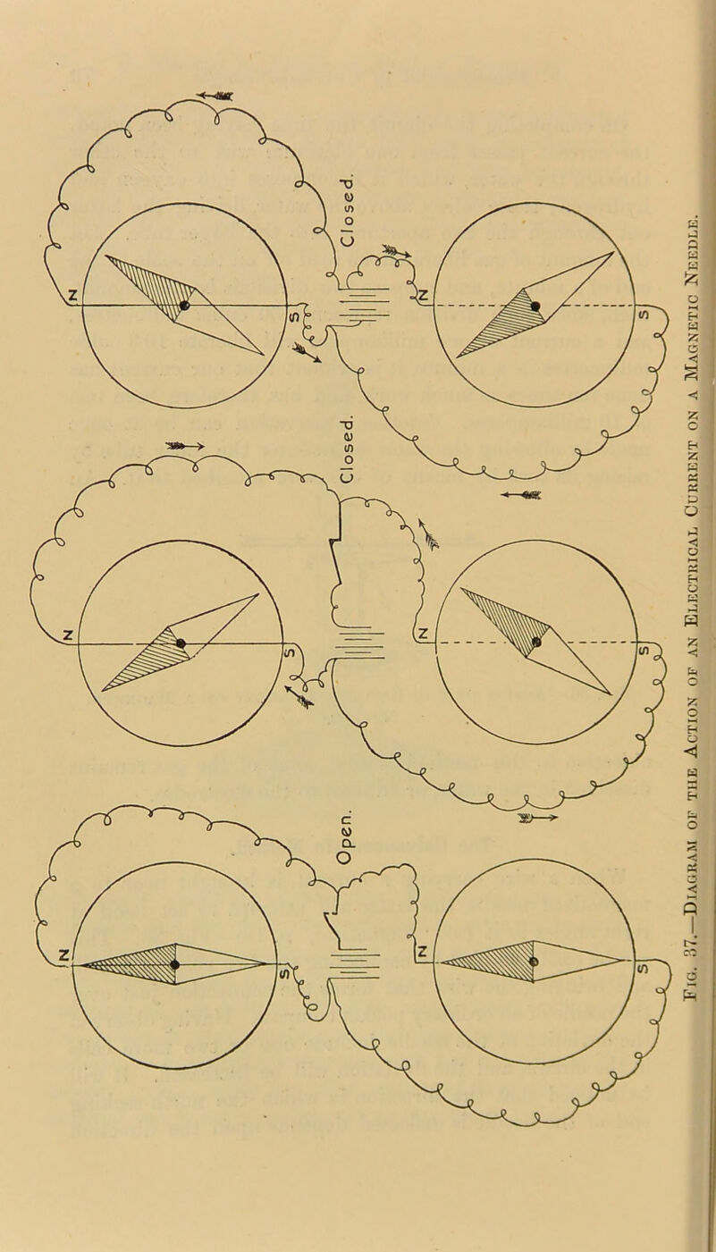 Fjg. 37.—Diagham of the Action of an Ecectkical Current on a Magnetic Needle.