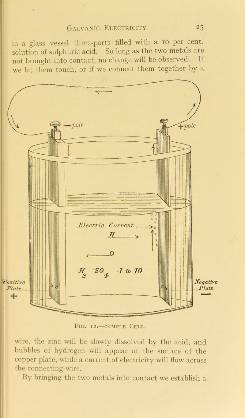 in a glass vessel three-parts filled with a 10 per cent, solution of sulphuric acid. So long as the two metals are not brought into contact, no change will be observed. If we let them touch, or if we connect them together by a