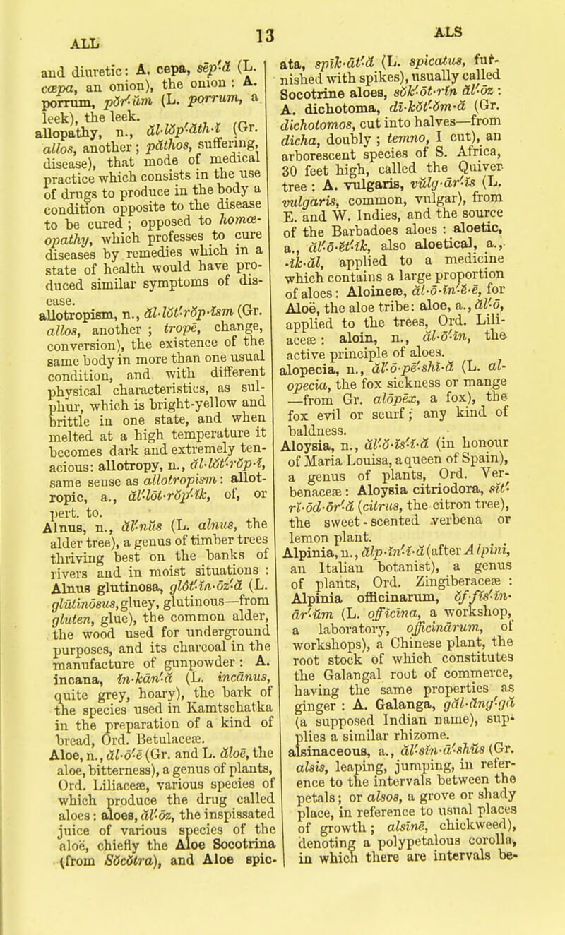 and diuretic: A. cepa, sep-d (L. ccepa, an onion), the onion : A. porrum, pdr'-um (L. porrum, a leek), the leek. allopathy, n., dl-Wp'-dth-l (Gr. atfos, another; patfios, suflering disease), that mode of medical practice which consists m the use of drugs to produce in the body a condition opposite to the disease to be cured ; opposed to homoe- opathy, which professes to cure diseases by remedies which m a state of health would have pro- duced similar symptoms of dis- 6£LS6* allotropism, n., dl-loMp-ism (Gr. alios, another ; trope, change, conversion), the existence of the same body in more than one usual condition, and with different physical characteristics, as sul- phur, which is bright-yellow and brittle in one state, and when melted at a high temperature it becomes dark and extremely ten- acious: allotropy, n., dl-ldt'rdp-l same sense as allotropism: allot, ropic, a., al'lol-rdp'ik, of, or pert. to. Alnus, n., dl'ntis (L. alnus, the alder tree), a genus of timber trees thriving best on the banks of rivers and in moist situations : Alnus glutinosa, gldtf-in-oz'a (L. glutinosus, gluey, glutinous—from gluten, glue), the common alder, the wood used for underground purposes, and its charcoal in the manufacture of gunpowder : A. incana, ln-kdn'-d (L. incdnus, quite grey, hoary), the bark of the species used in Kamtschatka in the preparation of a kind of bread, Ord. Betulacece. Aloe, n., dl-o'e (Gr. and L. Sloe, the aloe, bitterness), a genus of plants, Ord. Liliacese, various species of which produce the drug called aloes: aloes, dl'-dz, the inspissated juice of various species of the aloe, chiefly the Aloe Socotrina {from Sdcttra), and Aloe spic- ALS ata, splhdt'-d (L. spicatus, fur- nished with spikes), usually called Socotrine aloes, s5k'-ot-rln dl-oz : A. dichotoma, di-kdt'dm-d (Gr. dichotomos, cut into halves—from dicha, doubly ; temno, I cut), an arborescent species of S. Africa, 30 feet high, called the Quiver- tree : A. vulgaris, vulg-dr'-is (L. vulgaris, common, vulgar), from E. and W. Indies, and the source of the Barbadoes aloes : aloetic, a., dl'o-U'-ik, also aloeticaJ, a.,- ■lk-dl, applied to a medicine which contains a large proportion of aloes: Aloinese, dl-d-in'Z-e,^ for Aloe, the aloe tribe: aloe, a., al'o, applied to the trees, Ord. Lili- acese : aloin, n., dl-o'tn, the active principle of aloes, alopecia, n., al'-o-pe'-shi-d (L. al- opecia, the fox sickness or mange —from Gr. aldpex, a fox), the fox evil or scurf; any kind of baldness. Aloysia, n., dl'-o-is'i-d (in honour of Maria Louisa, a queen of Spain), a genus of plants, Ord. Ver- benaceffi: Aloysia citriodora, sit- rl-od-or'-d {citrus, the citron tree), the sweet-scented .verbena or lemon plant. Alpinia, n., dlp-in'-i-d{a.ite.x Alpini, an Italian botanist), a genus of plants, Ord. Zingiberacese : Alpinia officinarum, 6f-fis'-in- ar'-um (L. officlna, a workshop,_ a laboratory, officinarum, of workshops), a Chinese plant, the root stock of which constitutes the Galangal root of commerce, having the same properties as ginger : A. Galanga, gdl-dng'gd (a supposed Indian name), sup^ plies a similar rhizome, alsinaceous, a., al'-sln-d'-sh&s (Gr. alsis, leaping, jumping, in refer- ence to the intervals between the petals; or alsos, a grove or shady place, in reference to usual places of growth; alsine, chickweerl), denoting a polypetalous corollaj in which there are intervals be-