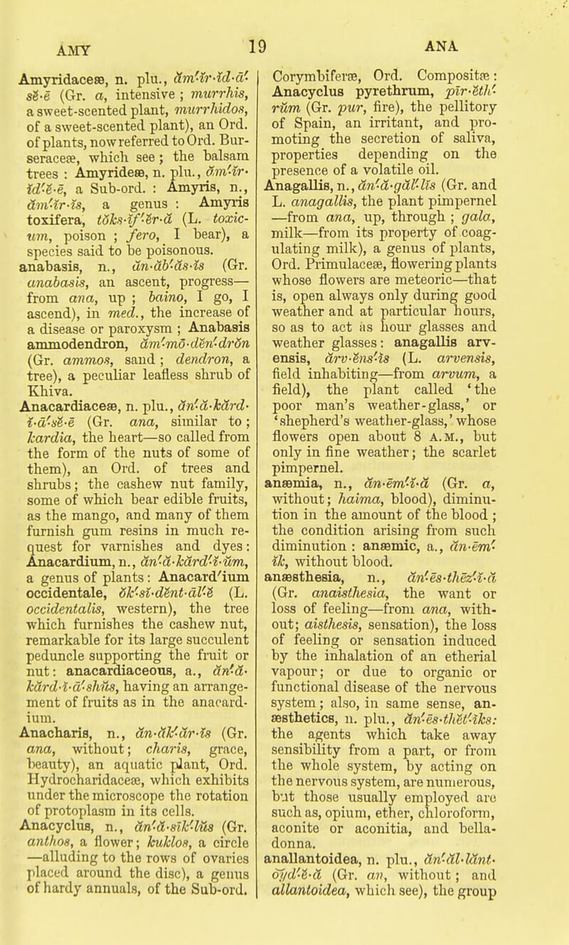 Amyridacera, n. plu., dm'-ir-id-d'- sg-e (Gr. a, intensive ; murrhis, a sweet-scented plant, murrhidos, of a sweet-scented plant), an Ord. of plants, now referred to Ord. Bur- seracese, which see; the halsara trees : Amyridero, n. plu., am-ir- id'S-e, a Sub-ord. : Amyris, n., dm'-ir-is, a genus : Amyris toxifera, t6ks-lf'-lr-d (L. toxic- urn, poison ; fe.ro, I bear), a species said to be poisonous. anabasis, n., tin-tib'-ds-is (Gr. anabasis, an ascent, progress— from ana, up ; baino, I go, I ascend), in med., the increase of a disease or paroxysm ; Anabasis ammodendron, am'-mo-den'-drdn (Gr. ammos, sand; dendron, a tree), a peculiar leafless shrub of Khiva. Anacardiacese, n. plu., an'-ti-ktird- i-a's$-e (Gr. ana, similar to; Icardia, the heart—so called from the form of the nuts of some of them), an Ord. of trees and shrubs; the cashew nut family, some of which bear edible fruits, as the mango, and many of them furnish gum resins in much re- quest for varnishes and dyes: Anacardium, n., tin'-ti-ktird'-t-um, a genus of plants: Anacard'ium occidentale, 8k'si-d8nt-dl'e' (L. occidentalis, western), the tree which furnishes the cashew nut, remarkable for its large succulent peduncle supporting the fruit or nut: anacardiaceous, a., tin'ti- ktird-i-d'-shus, having an arrange- ment of fruits as in the anacard- ium. Anacharis, n., dn-dV-dr-ls (Gr. ana, without; charis, grace, beauty), an aquatic plant, Ord. Hydrocharidacese, which exhibits under the microscope the rotation of protoplasm in its cells. Anacyclus, n., tin'ti-sik'lus (Gr. anlhos, a flower; kuklos, a circle —alluding to the rows of ovaries placed around the disc), a genus of hardy annuals, of the Sub-ord. Corymbiferse, Ord. Composite: Anacyclus pyrethrum, plr-UW- rum (Gr. pur, fire), the pellitory of Spain, an irritant, and pro- moting the secretion of saliva, properties depending on the presence of a volatile oil. Anagallis, n.,dn'-d-gdl'-lls (Gr. and L. anagallis, the plant pimpernel —from ana, up, through ; gala, milk—from its property of coag- ulating milk), a genus of plants, Ord. Primulacese, flowering plants whose flowers are meteoric—that is, open always only during good weather and at particular hours, so as to act as hour glasses and weather glasses: anagallis arv- ensis, drv-his'-is (L. arvensis, field inhabiting—from arvum, a field), the plant called 'the poor man's weather-glass,' or 'shepherd's weather-glass,' whose flowers open about 8 A.M., but only in fine weather; the scarlet pimpernel. anaemia, n., tin-em'4-ti (Gr. a, without; haima, blood), diminu- tion in the amount of the blood ; the condition arising from such diminution : anaemic, a., tin-em' ik, without blood. anaesthesia, n., dn'-es-thez'i-a (Gr. anaisthesia, the want or loss of feeling—from ana, with- out; aisthesis, sensation), the loss of feeling or sensation induced by the inhalation of an etherial vapour; or due to organic or functional disease of the nervous system; also, in same sense, an- aesthetics, n. plu., dn'-es-thet'-iks: the agents which take away sensibility from a part, or from the whole system, by acting on the nervous system, are numerous, but those usually employed are such as, opium, ether, chloroform, aconite or aconitia, and bella- donna. anallantoidea, n. plu., tin'-dl-lant- dl/d'-V-d (Gr. an, without; and allantoidea, which see), the group