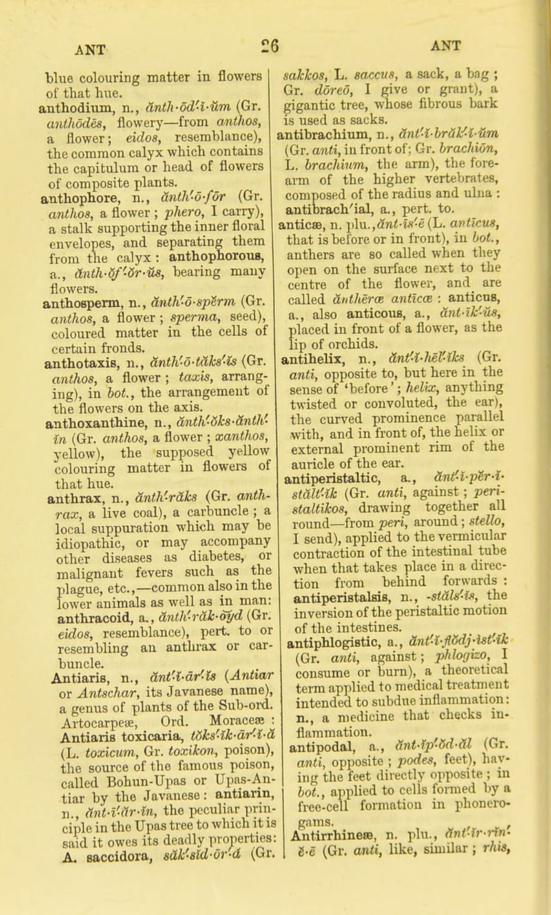 blue colouring matter in flowers of that hue. anthodmm, n., anth-od-i-um (Gr. anthodes, flowery—from anthos, a flower; eidos, resemblance), the common calyx which contains the capitulum or head of flowers of composite plants. anthophore, n., dnth'-o-for (Gr. anthos, a flower ; phero, I carry), a stalk supporting the inner floral envelopes, and separating them from the calyx : anthophorous, a., dnth-df-dr-us, bearing many flowers. anthosperm, n., anth'-d-sp&rm (Gr. anthos, a flower; sperma, seed), coloured matter in the cells of certain fronds, anthotaxis, n., anth'-o-tdks'-ls (Gr. anthos, a flower ; taxis, arrang- ing), in hot., the arrangement of the flowers on the axis, anthoxanthine, n., anth-dks-anth- in (Gr. anthos, a flower ; xanthos, yellow), the supposed yellow colouring matter in flowers of that hue. anthrax, n., anth'-raks (Gr. anth- rax, a live coal), a carbuncle ; a local suppuration which may be idiopathic, or may accompany other diseases as diabetes, or malignant fevers such as the plague, etc.,—common also in the lower animals as well as in man: anthracoid, a., anth'rak-oyd (Gr. eidos, resemblance), pert, to or resembling an anthrax or car- buncle. Antiaris, n., anf-i-dr-is (Anhar or Antschar, its Javanese name), a genus of plants of the Sub-ord. Artocarpea:, Ord. Moracese : Antiaris toxicaria, tdks'ik-ar'-i-a (L. toxicum, Gr. toxikon, poison), the source of the famous poison, called Bohun-Upas or Upas-An- tiar by the Javanese: antiarin, n., ant-l'-dr-in, the peculiar priii- ciple in the Upas tree to which it is said it owes its deadly properties: A. saccidora, sdk'-sld-or-d (Gr. sakkos, L. saccus, a sack, a bag ; Gr. dored, I give or grant), a gigantic tree, whose fibrous bark is used as sacks. antibrachium, n., dnt'l-brtik'-i-tim (Gr. anti, in front of: Gr. brachion, L. brachium, the arm), the fore- arm of the higher vertebrates, composed of the radius and ulna : antibrach'ial, a., pert. to. anticse, n. plu.,ant-ls'-e (L. anttcus, that is before or in front), in bot., anthers are so called when they open on the surface next to the centre of the flower, and are called antheroe anticoz : anticus, a., also anticous, a., dnt-lk'-'us, placed in front of a flower, as the lip of orchids, antihelix, n., dnt'-i-Ml'-lks (Gr. anti, opposite to, but here in the sense of 'before'; helix, anything twisted or convoluted, the ear), the curved prominence parallel with, and in front of, the helix or external prominent rim of the auricle of the ear. antiperistaltic, a., antfi-per-i- stalt'ik (Gr. anti, against; peri- staltikos, drawing together all round—from peri, around; stello, I send), applied to the vermicular contraction of the intestinal tube when that takes place in a direc- tion from behind forwards : antiperistalsis, n., -stals'1% the inversion of the peristaltic motion of the intestines, antiphlogistic, a., ant-i-flddj-ist'ik (Gr. anti, against; phlogko, I consume or burn), a theoretical term applied to medical treatment intended to subdue inflammation: n., a medicine that checks in- flammation. antipodal, a., ant-Ip-8d-al (Gr. anti, opposite ; podes, feet), hav- ing the feet directly opposite ; m bot., applied to cells formed by a free-cell formation in phonero- gams. , Antirrhinese, n. plu., tint-ir-rin- &-e (Gr. anti, like, similar; rhis,