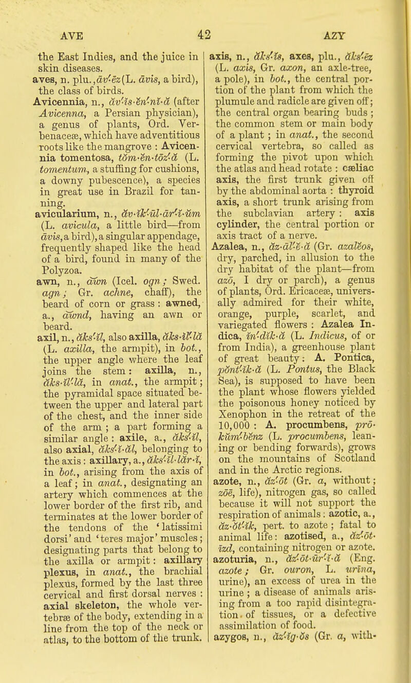 the East Indies, and the juice in I skin diseases. aves, n. plu. ,av-ez(L. avis, a bird), the class of birds. Avicennia, n., dv'-is-^n'-nl-d (after Avicenna, a Persian physician), a genus of plants, Ord. Ver- benacese, which have adventitious roots like the mangrove : Avicen- nia tomentosa, tom-en-tdz'a (L. tomentum, a stuffing for cushions, a downy pubescence), a species in great use in Brazil for tan- ning. avicularium, n., av-ik'ul-ar'i-ilm (L. avicula, a little bird—from avis, a bird), a singular appendage, frequently shaped like the head of a bird, found in many of the Polyzoa. awn, n., awn (Icel. ogn; Swed. agn; Gr. achne, chaff), the beard of corn or grass : awned, a., awnd, having an awn or beard. axil, n., aks'il, also axilla, aks-il'la (L. axilla, the armpit), in hot, the upper angle where the leaf joins the stem: axilla, n., dks-il'-la, in anat., the armpit; the pyramidal space situated be- tween the upper and lateral part of the chest, and the inner side of the arm ; a part forming a similar angle: axile, a., aks-il, also axial, aks'-i-al, belonging to the axis: axillary, a., aks'il-ldr-i, in hot., arising from the axis of a leaf; in anat., designating an artery which commences at the lower border of the first rib, and terminates at the lower border of the tendons of the 'latissimi dorsi' and 'teres major' muscles; designating parts that belong to the axilla or armpit: axillary plexus, in anat., the brachial plexus, formed by the last three cervical and first dorsal nerves : axial skeleton, the whole ver- tebra of the body, extending in a line from the top of the neck or atlas, to the bottom of the trunk. axiB, n., dl-Z-ts, axes, plu., dks'-ez (L. axis, Gr. axon, an axle-tree, a pole), in hot, the central por- tion of the plant from which the plumule and radicle are given off; the central organ bearing buds ; the common stem or main body of a plant ; in anat., the second cervical vertebra, so called as forming the pivot upon which the atlas and head rotate : caeliac axis, the first trunk given off by the abdominal aorta : thyroid axis, a short trunk arising from the subclavian artery : axis cylinder, the central portion or axis tract of a nerve. Azalea, n., az-al'-l-a (Gr. azaleos, dry, parched, in allusion to the dry habitat of the plant—from azo, I dry or parch), a genus of plants, Ord. Ericaceae, univers- ally admired for their white, orange, purple, scarlet, and variegated flowers : Azalea In- dica, in'-dik-a (L. Jndicus, of or from India), a greenhouse plant of great beauty; A. Pontica, pSnt'-ik-a (L. Pontus, the Black Sea), is supposed to have been the plant whose flowers yielded the poisonous honey noticed by Xenophon in the retreat of the 10,000 : A. procumbens, pro- kum'Mnz (L. procumbens, lean- ing or bending forwards), grows on the mountains of Scotland and in the Arctic regions, azote, n., az'ot (Gr. a, without; zoe, life), nitrogen gas, so called because it will not support the respiration of animals: azotic, a., az-ot'-lk, pert, to azote ; fatal to animal life: azotised, a., az'-dt- izd, containing nitrogen or azote, azoturia, n., ciz'-ot-ur'-i-d (Eng. azote; Gr. ouron, L. urina, urine), an excess of urea in the urine ; a disease of animals aris- ing from a too rapid disintegra- tion, of tissues, or a defective assimilation of food. | azygos, n., dz'-ig-6s (Gr. a, with-