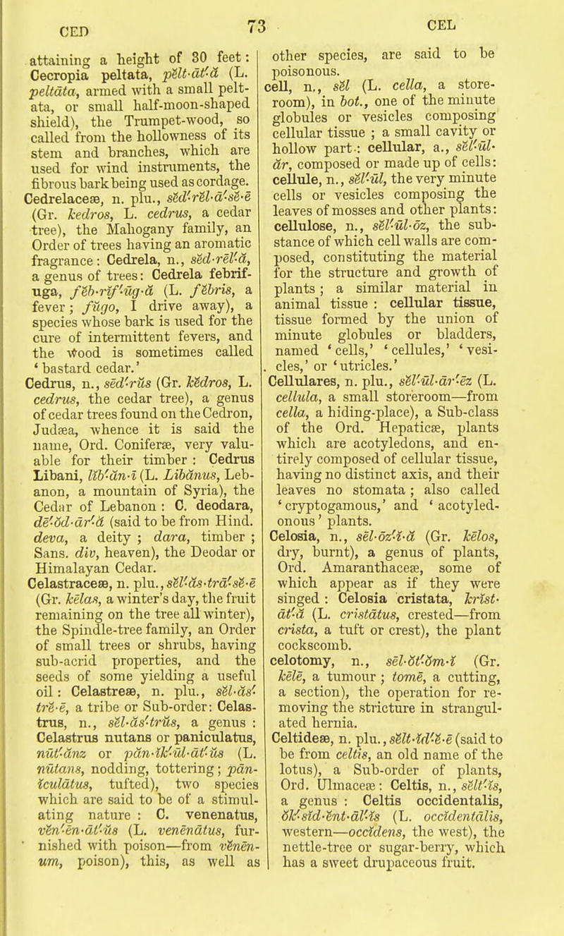 CED attaining a height of 30 Jfeet: Cecropia peltata, p&lt-dtf-d (L. peltata, armed with a small pelt- ata, or small half-moon-shaped shield), the Trumpet-wood, so called from the hollovvness of its stem and branches, which are used for wind instruments, the fibrous bark being used as cordage. Cedrelacese, n. plu., sM'rU-d'-sS-e (Gr. kedros, L. cedrus, a cedar tree), the Mahogany family, an Order of trees ha ving an aromatic fragrance: Cedrela, n., sed-rel'-a, a genus of trees: Cedrela febrif- uga, feb-rif'-ug-a (L. f&bris, a fever; fugo, I drive away), a species whose bark is used for the cure of intermittent fevers, and the Wood is sometimes called ' bastard cedar.' Cedrus, n., sed'-rus (Gr. hMros, L. cedrus, the cedar tree), a genus of cedar trees found on the Cedron, Judsea, whence it is said the name, Ord. Coniferse, very valu- able for their timber : Cedrus Libani, lib'-dn-i (L. Libdnus, Leb- anon, a mountain of Syria), the Cedar of Lebanon : C. deodara, de-dd-dr'-d (said to be from Hind. deva, a deity ; dara, timber ; Sans, div, heaven), the Deodar or Himalayan Cedar. Celastraceae, n. plu.,s2Z'a.s^ra-sg-e (Gr. lcela.% a winter's day, the fruit remaining on the tree all winter), the Spindle-tree family, an Order of small trees or shrubs, having sub-acrid properties, and the seeds of some yielding a useful oil: Celastreas, n. plu., sU-ds'- trl-e, a tribe or Sub-order: Celas- trus, n., sZl-ds'trtis, a genus : Celastrus nutans or paniculatus, nut'-dnz or pdn-iW-ul-dtf-ils (L. nutans, nodding, tottering; pan- iculatus, tufted), two species which are said to be of a stimul- ating nature : C. venenatus, v&n'-en-dt'-us (L. venenatus, fur- ' nished with poison—from vtnen- um, poison), this, as well as other species, are said to be poisonous. cell, n., sU (L. cella, a store- room), in bot., one of the minute globules or vesicles composing cellular tissue ; a small cavity or hollow part-: cellular, a., sel'ul- ar, composed or made up of cells: cellule, n., s&l'ul, the very minute cells or vesicles composing the leaves of mosses and other plants: cellulose, n., sel'-ul-oz, the sub- stance of which cell walls are com- posed, constituting the material for the structure and growth of plants; a similar material in animal tissue : cellular tissue, tissue formed by the union of minute globules or bladders, named 'cells,' 'cellules,' 'vesi- . cles,' or 'utricles.' Cellulares, n. plu., stl'-ul-ar'-ez (L. cellula, a small storeroom—from cella, a hiding-place), a Sub-class of the Ord. Hepaticee, plants which are acotyledons, and en- tirely composed of cellular tissue, having no distinct axis, and their leaves no stomata; also called ' cryptogamous,' and ' acotyled- onous' plants. Celosia, n., sel-dz-i-d (Gr. helos, dry, burnt), a genus of plants, Ord. Amaranthaceas, some of which appear as if they were singed : Celosia cristata, Icrist- at'-a (L. cristdtus, crested—from crista, a tuft or crest), the plant cockscomb, celotomy, n., sel-dt'-dm-i (Gr. hele, a tumour; tome, a cutting, a section), the operation for re- moving the stricture in strangul- ated hernia. Celtidese, n. plu.,sgft-irZ<g-e (saidto be from cellis, an old name of the lotus), a Sub-order of plants, Ord. Ulmacece: Celtis, n., sSll'is, a genus : Celtis occidentalis, 6¥-sid-e'nt-dl'4s (L. occidentalis, western—occidens, the west), the nettle-tree or sugar-berry, which has a sweet drupaceous fruit.