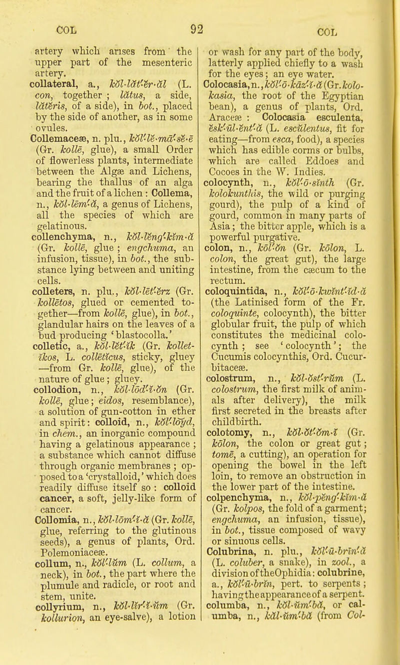 artery which arises from' the upper part of the mesenteric artery. collateral, a., kU-lat'-lr-dl (L. con, together ; latus, a side, latSris, of a side), in bot., placed by the side of another, as in some ovules. Collemacese, n. plu., kblf-le-md'-st-e (Gr. kolle, glue), a small Order of flowerless plants, intermediate between the Algae and Lichens, bearing the thallus of an alga and the fruit of a lichen: Collema, n., kdl-lem'a, a genus of Lichens, all the species of which are gelatinous. collenchyma, n., Ml-Ung'kim-a (Gr. kolle, glue ; engchuma, an infusion, tissue), in bot., the sub- stance lying between and uniting cells. colleters, n. plu., kdl-let'&rz (Gr. kolUtos, glued or cemented to- gether—from kolle, glue), in bot., glandular hairs on the leaves of a bud producing 'blastocolla.' colletic, a., kQl-Ut'-ik (Gr. kollet- ikos, L. colleticus, sticky, gluey —from Gr. kolle, glue), of the nature of glue; gluey. collodion, n., kol-lod'-i-Sn (Gr. kolle, glue; eidos, resemblance), a solution of gun-cotton in ether and spirit: colloid, n., kblf-loyd, in chem., an inorganic compound having a gelatinous appearance ; a substance which cannot diffuse through organic membranes ; op- posed to a 'crystalloid,' which does readily diffuse itself so : colloid cancer, a soft, jelly-like form of cancer. Collomia, n.,kSl-lom'i-a (Gr. kolle, glue, referring to the glutinous seeds), a genus of plants, Ord. Polemoniaceae. collum, n., kdl'l&m (L. collum, a neck), in bot., the part where the plumule and radicle, or root and stem, unite. collyrium, n., ktil-W-K-um (Gr. kollurion, an eye-salve), a lotion or wash for any part of the body, latterly applied chiefly to a wash for the eyes; an eye water. Colocasia, n., kW-o-kdz'-l-d (Gr. kolo- kasia, the root of the Egyptian bean), a genus of plants, Ord. Aracea? : Colocasia esculenta, esk'ul-e'nt'a (L. escHlentus, fit for eating—from esca, food), a species which has edible corms or bulbs, which are called Eddoes and Cocoes in the W. Indies. colocynth, n., kdl'6-smth (Gr. kolokunthis, the wild or purging gourd), the pulp of a kind of gourd, common in many parts of Asia; the bitter apple, which is a powerful purgative. colon, n., kol'6n (Gr. kolon, L. colon, the great gut), the large intestine, from the caecum to the rectum. coloquintida, n., k5l'o-kwlnt'-id-a (the Latinised form of the Fr. coloquinte, colocynth), the bitter globular fruit, the pulp of which constitutes the medicinal colo- cynth ; see ' colocynth'; the Cucumis colocynthis, Ord. Cucur- bitaceae. colostrum, n., kdl-dst'rUm (L. colostrum, the first milk of anim- als after delivery), the milk first secreted in the breasts after childbirth. colotomy, n., kdl-dt'-8m-i (Gr. kolon, the colon or great gut; tome, a cutting), an operation for opening the bowel in the left loin, to remove an obstruction in the lower part of the intestine. colpenchyma, n., kdl-peng'kim-d (Gr. kolpos, the fold of a garment; engchuma, an infusion, tissue), in bot., tissue composed of wavy or sinuous cells. Colubrina, n. plu., kdl'u-brln'd (L. coluber, a snake), in zool., a division of theOphidia: colubrine, a., k&l'u-brln, pert, to serpents; havingtheappearanceof a serpent. columba, n., kdl-um'bd, or cal- umba, n., kdl-Um-bd (from Col-