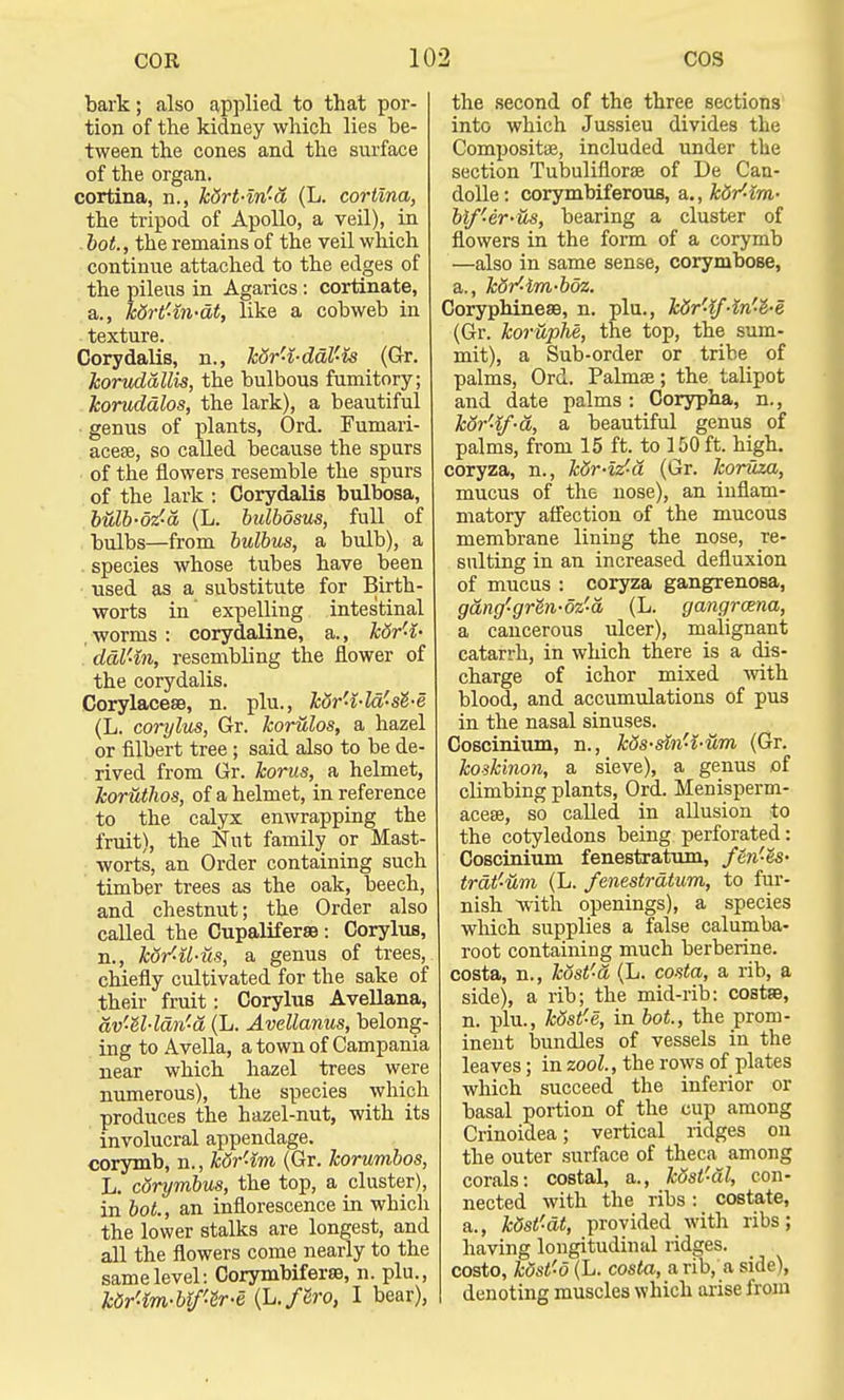 bark; also applied to that por- tion of the kidney which lies be- tween the cones and the surface of the organ, cortina, n., kdrt-in'a (L. cortina, the tripod of Apollo, a veil), in . hot., the remains of the veil which continue attached to the edges of the pileus in Agarics: cortinate, a., kdrt-in-dt, like a cobweb in texture. Corydalis, n., kdr'-i-ddV-is (Gr. horudallis, the bulbous fumitory; Tcoruddlos, the lark), a beautiful genus of plants, Ord. Fumari- acea5, so called because the spurs of the flowers resemble the spurs of the lark : Corydalis bulbosa, bulb-oz'-a (L. bulbosus, full of bulbs—from bulbus, a bulb), a species whose tubes have been used as a substitute for Birth- worts in expelling intestinal worms : corydaline, a., kdr'l- ddl'-in, resembling the flower of the corydalis. Corylacese, n. plu., kdr'i-ld's$-e (L. corylus, Gr. korulos, a hazel or filbert tree ; said also to be de- rived from Gr. Icorus, a helmet, koruthos, of a helmet, in reference to the calyx enwrapping the fruit), the Nut family or Mast- worts, an Order containing such timber trees as the oak, beech, and chestnut; the Order also called the Cupaliferse: Corylus, n., kor'-il-us, a genus of trees, chiefly cultivated for the sake of their fruit: Corylus Avellana, av'-ll-ldn'-d (L. Avellanus, belong- ing to Avella, a town of Campania near which hazel trees were numerous), the species which produces the hazel-nut, with its involucral appendage. corymb, n., kdr-im (Gr. korumbos, L. corymbus, the top, a cluster), in bot., an inflorescence in which the lower stalks are longest, and all the flowers come nearly to the same level: Corymbiferse, n. plu., Ur'-im-UJ'-lr-e, {L.fZro, I bear), the second of the three sections into which Jussieu divides the Compositse, included under the section Tubuliflorae of De Can- dolle: corymbiferous, a., k&r'-lm- blf'er-us, bearing a cluster of flowers in the form of a corymb —also in same sense, corymbose, a., kdr'-im-bdz. Coryphinese, n. plu., kdr'if'•In'-t-e (Gr. koruphe, the top, the sum- mit), a Sub-order or tribe of palms, Ord. Palma; the talipot and date palms : Corypha, n., kdr'if-a, a beautiful genus of palms, from 15 ft. to 150 ft. high, coryza, n., kdr-izta (Gr. koruza, mucus of the nose), an inflam- matory affection of the mucous membrane lining the nose, re- sulting in an increased defluxion of mucus : coryza gangrenosa, gang'-grln-m'-a (L. gangrcena, a cancerous ulcer), malignant catarrh, in which there is a dis- charge of ichor mixed with blood, and accumulations of pus in the nasal sinuses. Coscinium, n., kds-sin-i-um (Gr. koskinon, a sieve), a genus of climbing plants, Ord. Menisperm- acese, so called in allusion to the cotyledons being perforated: Coscinium fenestratum, fen'es- trdt-um (L. fenestratum, to fur- nish ~with openings), a species which supplies a false calumba- root containing much berberine. costa, n., kost'a (L. costa, a rib, a side), a rib; the mid-rib: costfe, n. plu., kdst'e, in bot., the prom- inent bundles of vessels in the leaves; in zool., the rows of plates which succeed the inferior or basal portion of the cup among Crinoidea; vertical ridges on the outer surface of theca among corals: costal, a., kdst-al, con- nected with the ribs: costate, a., kdst-at, provided with ribs; having longitudinal ridges, costo, kdst'-d (L. costa, a rib, a side), denoting muscles which arise from
