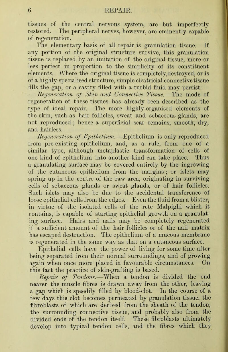 tissues of the central nervous system, are but imperfectly restored. The peripheral nerves, however, are eminently capable of regeneration. The elementary basis of all repair is granulation tissue. If any portion of the original structure survive, this granulation tissue is replaced by an imitation of the original tissue, more or less perfect in proportion to the simplicity of its constituent elements. Where the original tissue is completely,destroyed, or is of a highly-specialised structure, simple cicatricial connective tissue fills the gap, or a cavity filled with a turbid fluid may persist. Regeneration of Skin and Connective Tissue.—The mode of regeneration of these tissues has already been described as the type of ideal repair. The more highly-organised elements of the skin, such as hair follicles, sweat and sebaceous glands, are not reproduced; hence a superficial scar remains, smooth, dry, and hairless. Regeneration of Epithelium.—Epithelium is only reproduced from pre-existing epithelium, and, as a rule, from one of a similar type, although metaplastic transformation of cells of one kind of epithelium into another kind can take place. Thus a granulating surface may be covered entirely by the ingrowing of the cutaneous epithelium from the margins ; or islets may spring up in the centre of the raw area, originating in surviving cells of sebaceous glands or sweat glands, or of hair follicles. Such islets may also be due to the accidental transference of loose epithelial cells from the edges. Even the fluid from a blister, in virtue of the isolated cells of the rete Malpighi which it contains, is capable of starting epithelial growth on a granulat- ing surface. Hairs and nails may be completely regenerated if a sufficient amount of the hair follicles or of the nail matrix has escaped destruction. The epithelium of a mucous membrane is regenerated in the same way as that on a cutaneous surface. Epithelial cells have the power of living for some time after being separated from their normal surroundings, and of growing again when once more placed in favourable circumstances. On this fact the practice of skin-grafting is based. Repair of Tendons.—When a tendon is divided the end nearer the muscle fibres is drawn away from the other, leaving a gap which is speedily filled by blood-clot. In the course of a few days this clot becomes permeated by granulation tissue, the fibroblasts of which are derived from the sheath of the tendon, the surrounding connective tissue, and probably also from the divided ends of the tendon itself. These fibroblasts ultimately develop into typical tendon cells, and the fibres which they