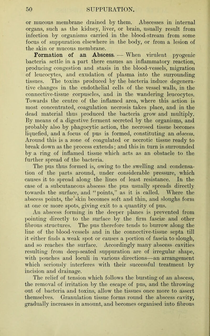 or mucous membrane drained by them. Abscesses in internal organs, such as the kidney, liver, or brain, usually result from infection by organisms carried in the blood-stream from some focus of suppuration elsewhere in the body, or from a lesion of the skin or mucous membrane. Formation of an Abscess. — When virulent pyogenic bacteria settle in a part there ensues an inflammatory reaction, producing congestion and stasis in the blood-vessels, migration of leucocytes, and exudation of plasma into the surrounding tissues. The toxins produced by the bacteria induce degenera- tive changes in the endothelial cells of the vessel walls, in the connective-tissue .corpuscles, and in the wandering leucocytes. Towards the centre of the inflamed area, where this action is most concentrated, coagulation necrosis takes place, and in the dead material thus produced the bacteria grow and multiply. By means of a digestive ferment secreted by the organisms, and probably also by phagocytic action, the necrosed tissue becomes liquefied, and a focus of pus is formed, constituting an abscess. Around this is a zone of coagulated or necrotic tissue ready to break down as the process extends; and this in turn is surrounded by a ring of inflamed tissue which acts as an obstacle to the further spread of the bacteria. The pus thus formed is, owing to the swelling and condensa- tion of the parts around, under considerable pressure, which causes it to spread along the lines of least resistance. In the case of a subcutaneous abscess the pus usually spreads directly towards the surface, and “points,” as it is called. Where the abscess points, the'skin becomes soft and thin, and sloughs form at one or more spots, giving exit to a quantity of pus. An abscess forming in the deeper planes is prevented from pointing directly to the surface by the firm fasciae and other fibrous structures. The pus therefore tends to burrow along the line of the blood-vessels and in the connective-tissue septa till it either finds a weak spot or causes a portion of fascia to slough, and so reaches the surface. Accordingly many abscess cavities resulting from deep-seated suppuration are of irregular shape, with pouches and loculi in various directions—an arrangement which seriously interferes with their successful treatment by incision and drainage. The relief of tension which follows the bursting of an abscess, the removal of irritation by the escape of pus, and the throwing out of bacteria and toxins, allow the tissues once more to assert themselves. Granulation tissue forms round the abscess cavity, gradually increases in amount, and becomes organised into fibrous