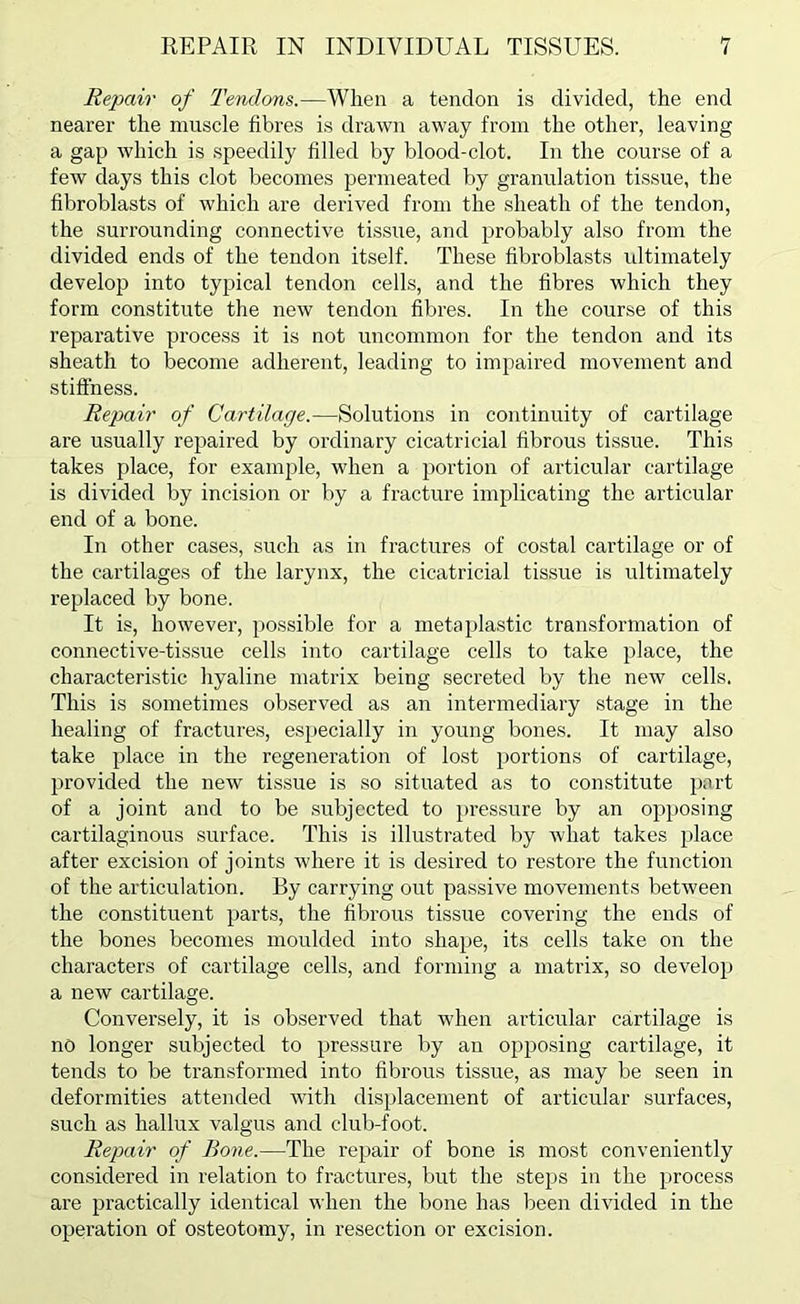 Repair of Tendons.—When a tendon is divided, the end nearer the muscle fibres is drawn away from the other, leaving a gap which is speedily filled by blood-clot. In the course of a few days this clot becomes permeated by granulation tissue, the fibroblasts of which are derived from the sheath of the tendon, the surrounding connective tissue, and probably also from the divided ends of the tendon itself. These fibroblasts ultimately develop into typical tendon cells, and the fibres which they form constitute the new tendon fibres. In the course of this reparative process it is not uncommon for the tendon and its sheath to become adherent, leading to impaired movement and stiffness. Repair of Cartilage.—Solutions in continuity of cartilage are usually repaired by ordinary cicatricial fibrous tissue. This takes place, for example, when a portion of articular cartilage is divided by incision or by a fracture implicating the articular end of a bone. In other cases, such as in fractures of costal cartilage or of the cartilages of the larynx, the cicatricial tissue is ultimately replaced by bone. It is, however, possible for a meta plastic transformation of connective-tissue cells into cartilage cells to take place, the characteristic hyaline matrix being secreted by the new cells. This is sometimes observed as an intermediary stage in the healing of fractures, especially in young bones. It may also take place in the regeneration of lost portions of cartilage, provided the new tissue is so situated as to constitute port of a joint and to be .subjected to pressure by an opposing cartilaginous surface. This is illustrated by what takes place after excision of joints where it is desired to restore the function of the articulation. By carrying out passive movements between the constituent parts, the fibrous tissue covering the ends of the bones becomes moulded into shape, its cells take on the characters of cartilage cells, and forming a matrix, so develop a new cartilage. Conversely, it is observed that wdien articular cartilage is no longer subjected to pressure by an opposing cartilage, it tends to be transformed into fibrous tissue, as may be seen in deformities attended with displacement of articular surfaces, such as hallux valgus and club-foot. Repair of Bone.—The repair of bone is most conveniently considered in relation to fractures, but the steps in the process are practically identical when the bone has been divided in the operation of osteotomy, in resection or excision.