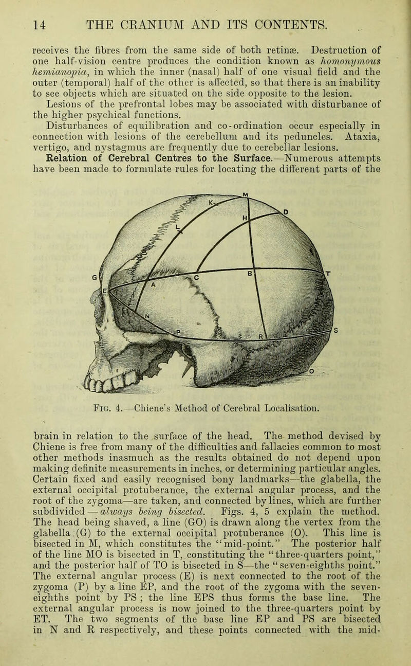 receives the fibres from the same side of both retinae. Destruction of one half-vision centre produces the condition known as homonymous hemianopia, in which the inner (nasal) half of one visual field and the outer (temporal) half of the other is affected, so that there is an inability to see objects which are situated on the side opposite to the lesion. Lesions of the prefrontal lobes may be associated with disturbance of the higher psychical functions. Disturbances of equilibration and co-ordination occur especially in connection with lesions of the cerebellum and its peduncles. Ataxia, vertigo, and nystagmus are frequently due to cerebellar lesions. Relation of Cerebral Centres to the Surface.—Numerous attempts have been made to formulate rules for locating the different parts of the Fig. 4.—Chiene’s Method of Cerebral Localisation. brain in relation to the surface of the head. The method devised by Chiene is free from many of the difficulties and fallacies common to most other methods inasmuch as the results obtained do not depend upon making definite measurements in inches, or determining particular angles. Certain fixed and easily recognised bony landmarks—the glabella, the external occipital protuberance, the external angular process, and the root of the zygoma—are taken, and connected by lines, which are further subdivided — always being bisected. Figs. 4, 5 explain the method. The head being shaved, a line (GO) is drawn along the vertex from the glabella (G) to the external occipital protuberance (0). This line is bisected in M, which constitutes the “mid-point.” The posterior half of the line MO is bisected in T, constituting the “three-quarters point,” and the posterior half of TO is bisected in S—the “ seven-eighths point.” The external angular process (E) is next connected to the root of the zygoma (P) by a line EP, and the root of the zygoma with the seven- eighths point by PS ; the line EPS thus forms the base line. The external angular process is now joined to the three-quarters point by ET. The two segments of the base line EP and PS are bisected in N and R respectively, and these points connected with the mid-