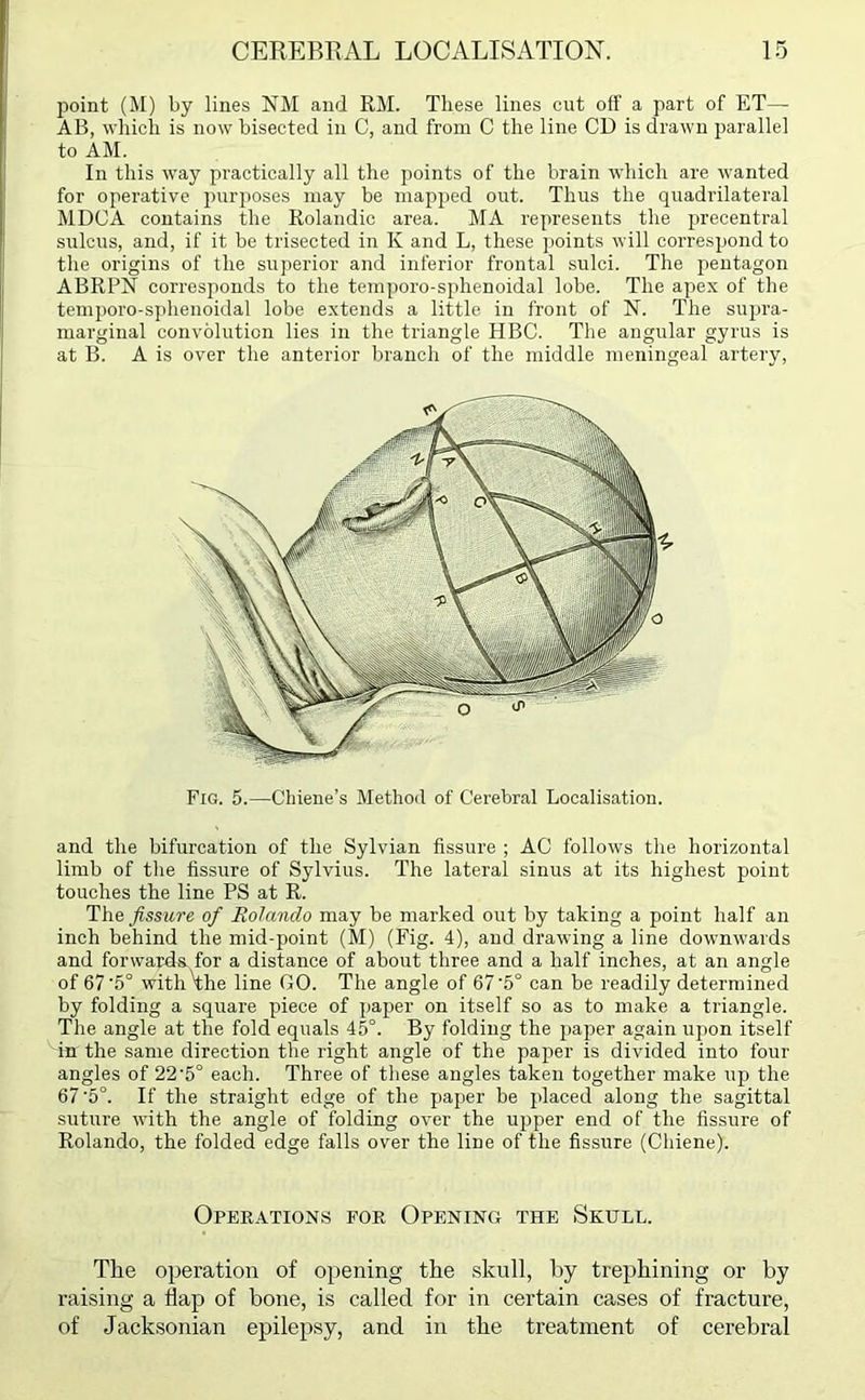 point (M) by lines NM and RM. These lines cut off a part of ET— AB, which is now bisected in C, and from C the line CD is drawn parallel to AM. In this way practically all the points of the brain which are wanted for operative purposes may be mapjied out. Thus the quadrilateral MDCA contains the Rolandic area. MA represents the precentral sulcus, and, if it be trisected in K and L, these points will correspond to the origins of the superior and inferior frontal sulci. The pentagon ABRPN corresponds to the temporo-sphenoidal lobe. The apex of the temporo-sphenoidal lobe extends a little in front of N. The supra- marginal convolution lies in the triangle HBC. The angular gyrus is at B. A is over the anterior branch of the middle meningeal artery, Fig. 5.—Chiene’s Method of Cerebral Localisation. and the bifurcation of the Sylvian fissure ; AC follows the horizontal limb of the fissure of Sylvius. The lateral sinus at its highest point touches the line PS at R. The fissure of Rolando may be marked out by taking a point half an inch behind the mid-point (M) (Fig. 4), and drawing a line downwards and forwards for a distance of about three and a half inches, at an angle of 67'5° with'the line GO. The angle of 67'5° can be readily determined by folding a square piece of paper on itself so as to make a triangle. The angle at the fold equals 45°. By folding the jrnper again upon itself in the same direction the right angle of the pajier is divided into four angles of 22'5° each. Three of these angles taken together make up the 67 '5°. If the straight edge of the paper be placed along the sagittal suture with the angle of folding over the upper end of the fissure of Rolando, the folded edge falls over the line of the fissure (Cliiene). Operations for Opening the Skull. The operation of opening the skull, by trephining or by raising a flap of bone, is called for in certain cases of fracture, of Jacksonian epilepsy, and in the treatment of cerebral