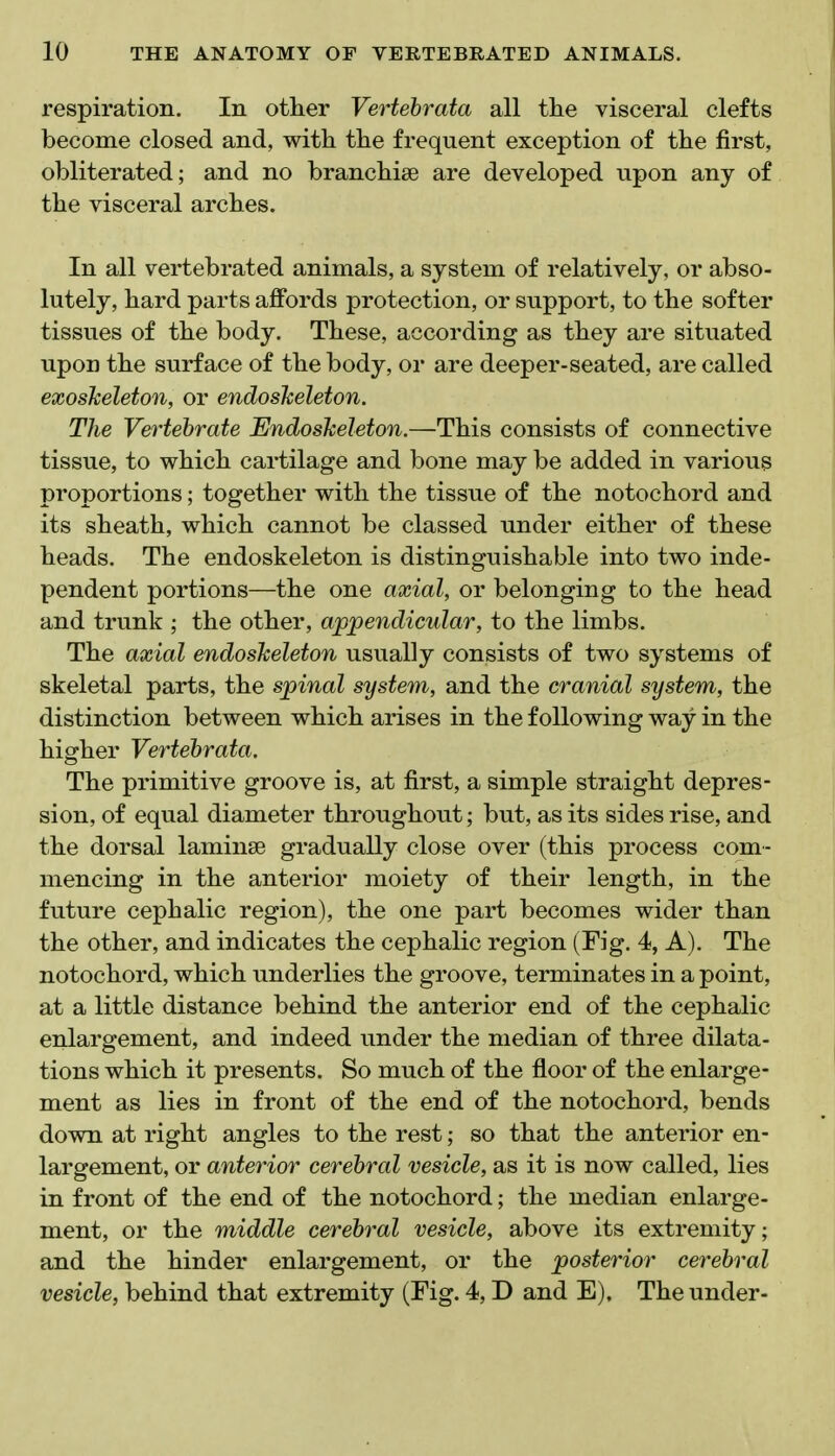 respiration. In other Vertebrata all the visceral clefts become closed and, with the frequent exception of the first, obliterated; and no branchiae are developed upon any of the visceral arches. In all vertebrated animals, a system of relatively, or abso- lutely, hard parts affords protection, or support, to the softer tissues of the body. These, according as they are situated upon the surface of the body, or are deeper-seated, are called exoskeleton, or endoskeleton. The Vertebrate Endoskeleton.—This consists of connective tissue, to which cartilage and bone may be added in various proportions; together with the tissue of the notochord and its sheath, which cannot be classed under either of these heads. The endoskeleton is distinguishable into two inde- pendent portions—the one axial, or belonging to the head and trunk ; the other, appendicular, to the limbs. The axial endoskeleton usually consists of two systems of skeletal parts, the spinal system, and the cranial system, the distinction between which arises in the following way in the higher Vertebrata. The primitive groove is, at first, a simple straight depres- sion, of equal diameter throughout; but, as its sides rise, and the dorsal laminae gradually close over (this process com- mencing in the anterior moiety of their length, in the future cephalic region), the one part becomes wider than the other, and indicates the cephalic region (Fig. 4, A). The notochord, which underlies the groove, terminates in a point, at a little distance behind the anterior end of the cephalic enlargement, and indeed under the median of three dilata- tions which it presents. So much of the floor of the enlarge- ment as lies in front of the end of the notochord, bends down at right angles to the rest; so that the anterior en- largement, or anterior cerebral vesicle, as it is now called, lies in front of the end of the notochord; the median enlarge- ment, or the middle cerebral vesicle, above its extremity; and the hinder enlargement, or the posterior cerebral vesicle, behind that extremity (Fig. 4, D and E). The under-