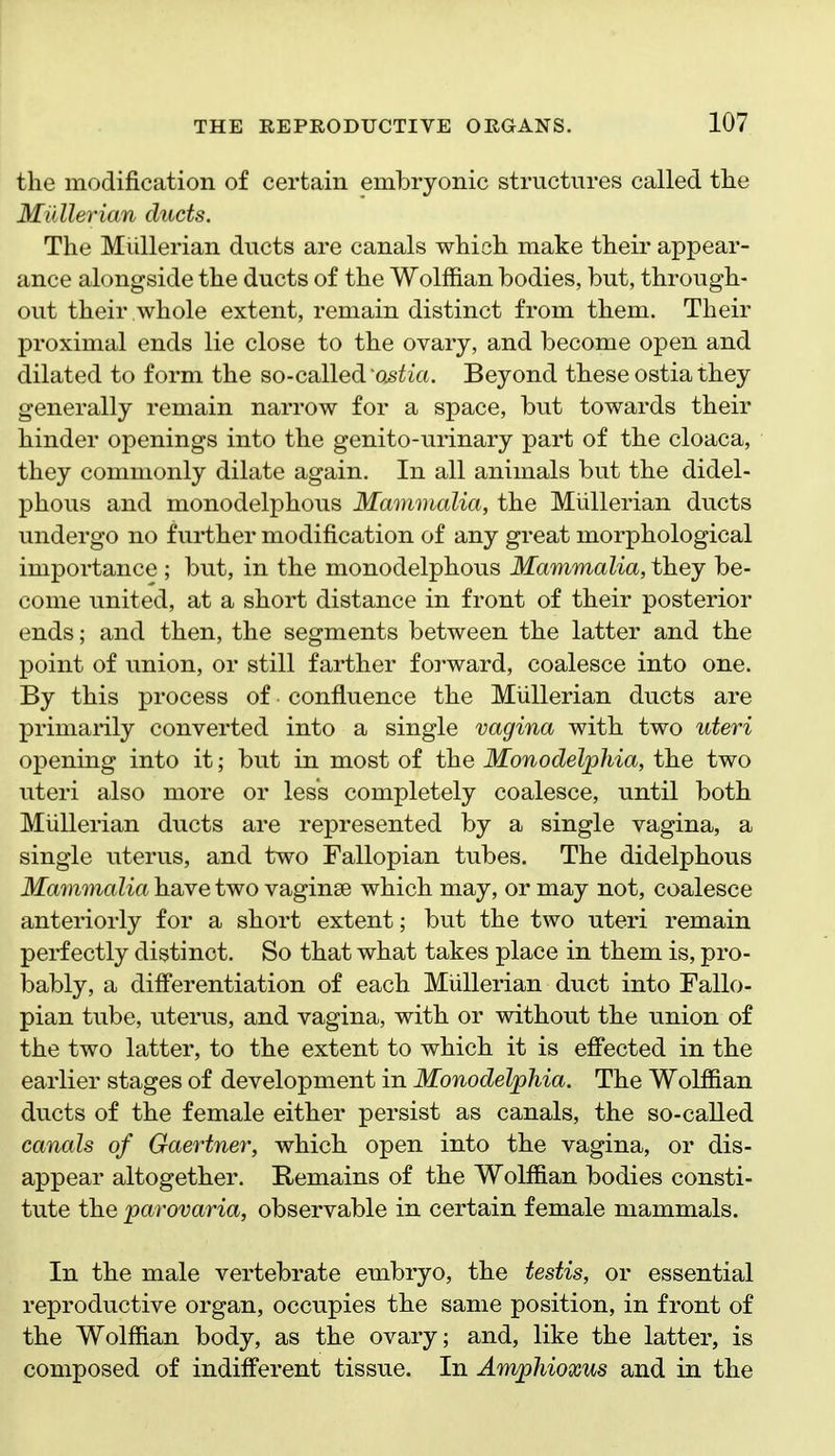 the modification of certain embryonic structures called tlie Mullerian ducts. The Miillerian ducts are canals which make their appear- ance alongside the ducts of the Wolffian bodies, but, through- out their whole extent, remain distinct from them. Their proximal ends lie close to the ovary, and become open and dilated to form the so-called os^ia. Beyond these ostia they generally remain narrow for a space, but towards their hinder openings into the genito-urinary part of the cloaca, they commonly dilate again. In all animals but the didel- phous and monodelphous Mammalia, the Mullerian ducts undergo no further modification of any great morphological importance ; but, in the monodelphous Mammalia, they be- come united, at a short distance in front of their posterior ends; and then, the segments between the latter and the point of union, or still farther forward, coalesce into one. By this process of confluence the Miillerian ducts are primarily converted into a single vagina with two uteri opening into it; but in most of the Monodelphia, the two uteri also more or less completely coalesce, until both Miillerian ducts are represented by a single vagina, a single uterus, and two Fallopian tubes. The didelphous Mammalia have two vaginae which may, or may not, coalesce anteriorly for a short extent; but the two uteri remain perfectly distinct. So that what takes place in them is, pro- bably, a differentiation of each Mullerian duct into Fallo- pian tube, uterus, and vagina, with or without the union of the two latter, to the extent to which it is effected in the earlier stages of development in Monodelphia. The Wolffian ducts of the female either persist as canals, the so-called canals of Gaertner, which open into the vagina, or dis- appear altogether. Remains of the Wolffian bodies consti- tute the 'parovaria, observable in certain female mammals. In the male vertebrate embryo, the testis, or essential reproductive organ, occupies the same position, in front of the Wolffian body, as the ovary; and, like the latter, is composed of indifferent tissue. In Amphioxus and in the