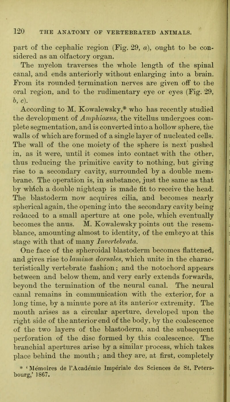 part of tlie cephalic region (Fig. 29, a), ought to be con- sidered as an olfactoiy organ. The myelon traverses the whole length of the spinal canal, and ends anteriorly without enlarging into a brain. From its rounded termination nerves are given off to the oral region, and to the rudimentary eye or eyes (Fig. 29, b, c). According to M. Kowalewsky,* who has recently studied the development of Amphioxus, the vitellus undergoes com- plete segmentation, and is converted into a hollow sphere, the walls of which are formed of a single layer of nucleated cells. The wall of the one moiety of the sphere is next pushed in, as it were, until it comes into contact with the other, thus ^educing the primitive cavity to nothing, but giving rise to a secondary cavity, surrounded by a double mem- brane. The operation is, in substance, just the same as that by wMch a double nightcap is made fit to receive the head. The blastoderm now acquires cilia, and becomes nearly spherical again, the opening into the secondary cavity being reduced to a small aperture at one pole, which eventually becomes the anus, M. Kowalewsky points out the resem- blance, amounting almost to identity, of the embryo at this stage with that of many Invertehrata. One face of the spheroidal blastoderm becomes flattened, and gives rise to laminoe, dorsales, which imite in the charac- teristically vertebrate fashion; and the notochord appears between and below them, and very early extends forwards, beyond the termination of the neural canal. The neural canal remains in communication with the exterior, for a long time, by a minute pore at its anterior extremity. The mouth arises as a circular aperture, developed upon the right side of the anterior end of the body, by the coalescence of the two layers of the blastoderm, and the subsequent perforation of the disc formed by this coalescence. The branchial apertures arise by a similar process, which takes place behind the mouth; and they are, at first, completely * ' Memoires de I'Academie Imperiale des Sciences de St. Peters- bourg,' ]867,