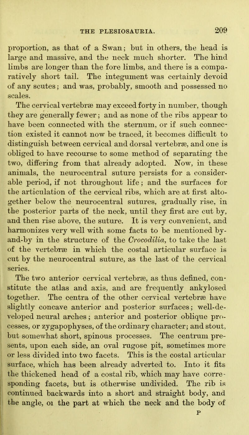 proportion, as that of a Swan; but in others, the head is large and massive, and the neck much shorter. The hind limbs are longer than the fore limbs, and there is a compa- ratively short tail. The integument vras certainly devoid of any scutes; and was, probably, smooth and possessed no scales. The cervical vertebrae may exceed forty in number, though they are generally fewer; and as none of the ribs appear to have been connected with the sternum, or if such connec- tion existed it cannot now be traced, it becomes difficult to distinguish between cervical and dorsal vertebrae, and one is obliged to have recourse to some method of separating the two, differing from that already adopted. Now, in these animals, the neurocentral suture persists for a consider- able period, if not throughout life; and the surfaces for the articulation of the ceiwical ribs, which are at first alto- gether below the neurocentral sutures, gradually rise, in the posterior parts of the neck, until they first are cut by, and then rise above, the suture. It is very convenient, and harmonizes very well with some facts to be mentioned by- and-by in the structure of the Crocodilia, to take the last of the vertebrae in which the costal articular surface is cut by the neurocentral suture, as the last of the cervical series. The two anterior cervical vertebrae, as thus defined, con- stitute the atlas and axis, and are frequently ankylosed together. The centra of the other cervical vertebrae have slightly concave anterior and posterior surfaces; well-de- veloped neural arches; anterior and posterior oblique pro- i cesses, or zygapophyses, of the ordinary character; and stout, but somewhat short, spinous processes. The centrum pre- sents, upon each side, an oval rugose pit, sometimes more or less divided into two facets. This is the costal articular surface, which has been already adverted to. Into it fits the thickened head of a costal rib, which may have corre - sponding facets, but is otherwise undivided. The rib is continued backwards into a short and straight body, and I the angle, oi the part at which the neck and the body of I P