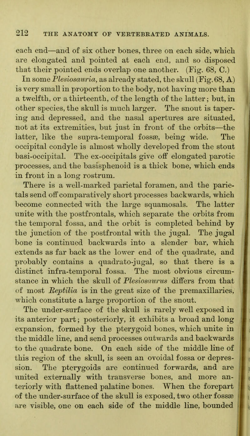 each end—and of six other bones, three on each side, which are elongated and pointed at each end, and so disposed that their pointed ends overlap one another. (Fig. 68, C.) In some Plesiosauria, as already stated, the skull (Fig. 68, A) is very small in proportion to the body, not having more than a twelfth, or a thirteenth, of the length of the latter; but, in other species, the skull is much larger. The snout is taper- ing and depressed, and the nasal apertures are situated, not at its extremities, but just in front of the orbits—the latter, like the supra-temporal fossae, being wide. The occipital condyle is almost wholly developed from the stout basi-occipital. The ex-occipitals give off elongated parotic processes, and the basisphenoid is a thick bone, which ends in front in a long rostrum. There is a well-marked parietal foramen, and the parie- tals send off comparatively short processes backwards, which become connected with the large squamosals. The latter unite with the postfrontals, which separate the orbits from the temporal fossa, and the orbit is completed behind by the junction of the postfrontal with the jugal. The jugal bone is continued backwards into a slender bar, which extends as far back as the lower end of the quadrate, and probably contains a quadrato-jugal, so that there is a distinct infra-temp oral fossa. The most obvious circum- stance in which the skull of Plesiosaurus differs from that of most Reptilia is in the great size of the premaxillaries, which constitute a large proportion of the snout. The under-surface of the skull is rarely well exposed in its anterior part; posteriorly, it exhibits a broad and long expansion, formed by the pterygoid bones, which unite in the middle line, and send processes outwards and backwards to the quadrate bone. On each side of the middle line of this region of the skull, is seen an ovoidal fossa or depres- sion. The pterygoids are continued forwards, and are united externally with transverse bones, and more an- teriorly with flattened palatine bones. When the forepart of the under-surface of the skull is exposed, two other fossae are visible, one on each side of the middle line, bounded