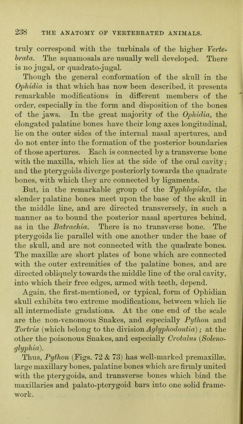 truly correspond with the turbinals of tlie higher Fer^e- brata. The squamosals are usually well developed. There is no jugal, or quadrato-jugal. Though the general conformation of the skull in the Opliiclia is that which has now been described, it presents remarkable modifications in different members of the order, especially in the form and disposition of the bones of the jaws. In the great majority of the Ophidia, the elongated palatine bones have their long axes longitudinal, lie on the outer sides of the internal nasal apertures, and do not enter into the formation of the posterior boundaries of those apertures. Each is connected by a transverse bone with the maxilla, which lies at the side of the oral cavity; and the pterygoids diverge posteriorly towards the quadrate bones, with which they arc connected by ligaments. But, in the remarkable group of the Typhlupidm, the slender palatine bones meet upon the base of the skull in the middle line, and are directed transversely, in such a manner as to bound the posterior nasal apertures behind, as in the Batrachia. There is no transverse bone. The pterygoids lie parallel with one another under the base of the skull, and are not connected with the quadrate bones. The maxillae are short plates of bone which are connected with the outer extremities of the palatine bones, and are directed obliquely towards the middle line of the oral cavity, into which their free edges, armed with teeth, depend. Again, the first-mentioned, or typical, form of Ophidian skull exhibits two extreme modifications, between which lie all intermediate gradations. At the one end of the scale are the non-venomous Snakes, and especially Python and Tortrix (which belong to the division AglypJiodontia); at the other the poisonous Snakes, and especially Crotalus {Soleno- glyphia). Thus, Python (Figs. 72 & 73) has well-marked premaxillse, large maxillary bones, palatine bones which are firmly imited with the pterygoids, and transverse bones which bind the maxillaries and palato-pterygoid bars into one solid frame- work.