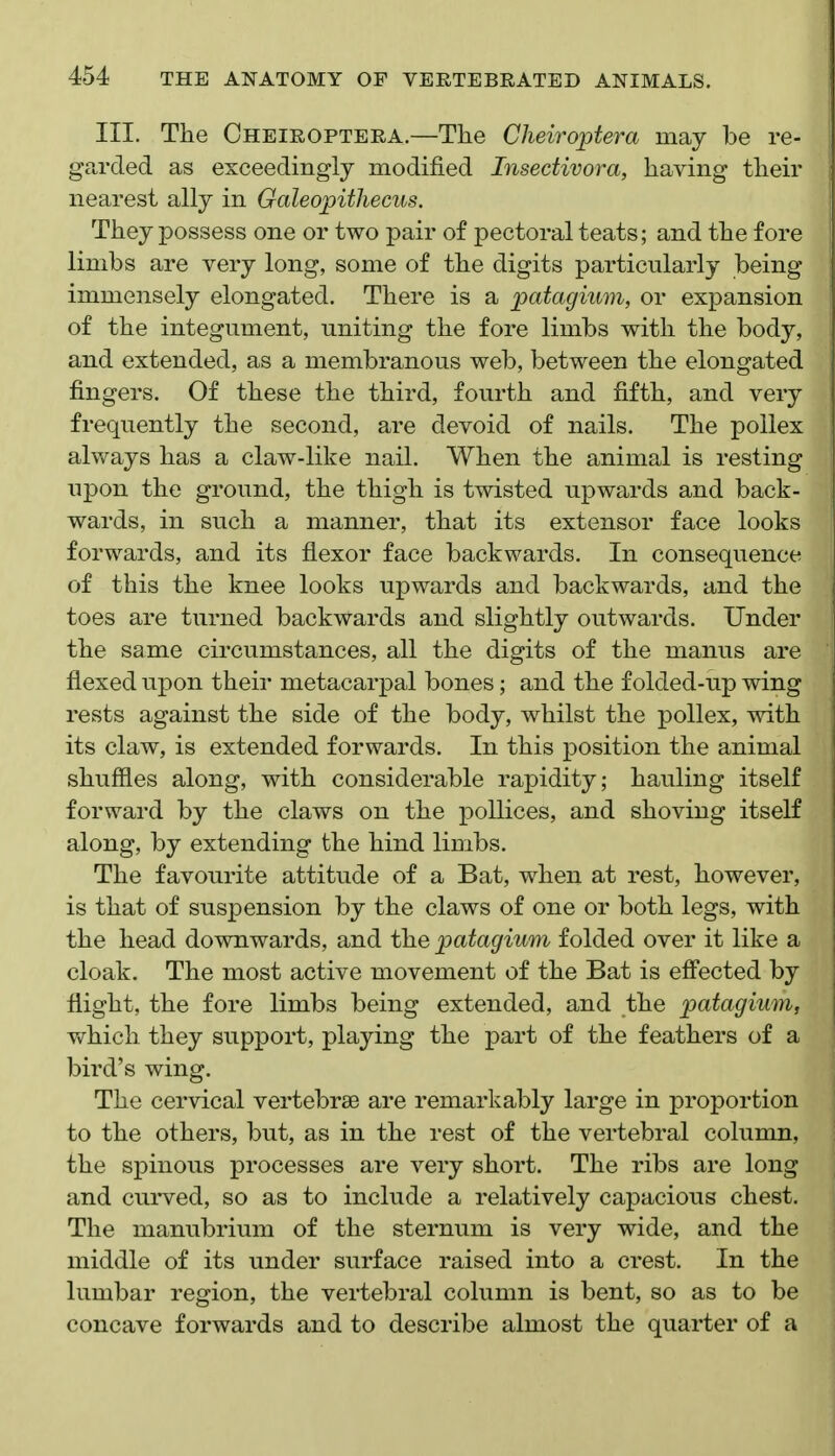 III. The Cheiroptera.—The Cheiroptera may be re- garded as exceedingly modified Insectivora, having their nearest ally in Galeopithecus. They possess one or two pair of pectoral teats; and the fore limbs are very long, some of the digits particularly being immensely elongated. There is a patagium, or expansion of the integument, uniting the fore limbs with the body, and extended, as a membranous web, between the elongated fingers. Of these the third, fourth and fifth, and very frequently the second, are devoid of nails. The pollex always has a claw-like nail. When the animal is resting upon the ground, the thigh is twisted upwards and back- wards, in such a manner, that its extensor face looks forwards, and its flexor face backwards. In consequence of this the knee looks upwards and backwards, and the toes are turned backwards and slightly outwards. Under the same circumstances, all the digits of the manus are flexed upon their metacarpal bones; and the f olded-up wing rests against the side of the body, whilst the pollex, with its claw, is extended forwards. In this position the animal shuffles along, with considerable rapidity; hauling itself forward by the claws on the poUices, and shoving itself along, by extending the hind limbs. The favourite attitude of a Bat, when at rest, however, is that of suspension by the claws of one or both legs, with the head downwards, and the patagium folded over it like a cloak. The most active movement of the Bat is eff'ected by flight, the fore limbs being extended, and the patagium, vv^hich they support, playing the part of the feathers of a bird's wing. The cervical vertebrae are remarkably large in proportion to the others, but, as in the rest of the vertebral column, the spinous processes are very short. The ribs are long and cui*ved, so as to include a relatively capacious chest. The manubrium of the sternum is very wide, and the middle of its under surface raised into a crest. In the lumbar region, the vertebral column is bent, so as to be concave forwards and to describe almost the quarter of a