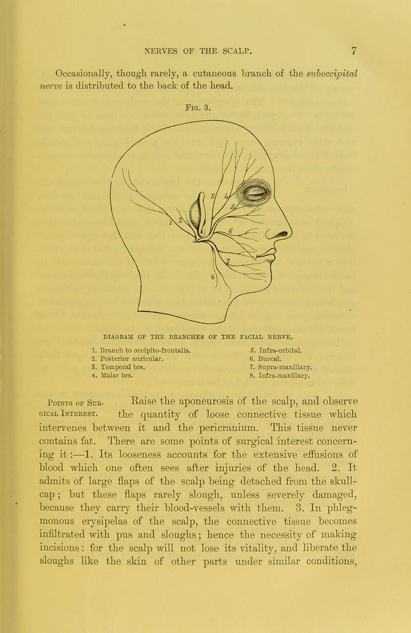 DIAGBA3I OF THE BBANCHBS OF THE FACIAL NEBVE. 1. Branch to occipito-frontalis. 5. Infra-orbital. 2. Posterior auricular. 6. Buccal. 3. Temiwral brs. 7. Supra-maxillary. 4. Malar brs. 8. Infra-maxiUary. Points of Sub- Raise the aponeurosis of the scalp, and observe GicAL Intebest. the quantity of loose connective tissue which intervenes between it and the pericranium. This tissue never contains fat. There are some points of surgical interest concern- ing it:—1. Its looseness accounts for the extensive effusions of blood which one often sees after injuries of the head. 2. It admits of large flaps of the scalp being detached from the skull- cap ; but these flaps rarely slough, unless severely damaged, because they carry their blood-vessels with them. 3. In phleg- monous erysipelas of the scalp, the connective tissue becomes infiltrated with pus and sloughs; hence the necessity of making- incisions : for the scalp will not lose its vitality, and liberate the sloughs like the skin of other parts under similar conditions.