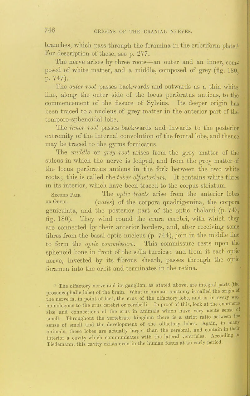 brandies, which pass through the foramina in the cribriform plate.' For description of these, see p. 277. The nerve arises by three roots—an outer and an inner, com- posed of white matter, and a middle, composed of grey (fig. 180, p. 747). The outer root passes backwards and outwards as a thin wliiti^ line, along the outer side of the locus perforatus anticus, to the commencement of the fissure of Sylvius. Its deeper origin has been traced to a nucleus of grey matter in the anterior part of the temporo-sphenoidal lobe. The inner root piisses backwards and inwards to the posterior extremity of the intei^nal convolution of the frontal lobe, and thence may be traced to the gyrus fornicatus. The middle or grey root ai'ises from the grey matter of the sulcus in which the nerve is lodged, and from the grey matter of the locus perforatus anticus in the fork between the two white roots; this is called the tuber olfadoriam. It contains white fibres in its interior, which have been traced to the corpus striatum. Second Pair The o^tic tracts arise from the anterior lobes OR Optic. (judes) of the corpora quadrigemina, the corpora geniculata, and the posterior part of the optic thalami (p. 747, fig. 180). They wind round the crura cerebri, with which they are connected by their anterior borders, and, after receiving some fibres from the basal optic nucleus (p. 744), join in the middle line to form the optic commissure. This commissure rests upon the sphenoid bone in front of the sella turcica ; and from it each optic nerve, invested by its fibrous sheath, passes through the optic- foramen into the orbit and terminates in the retina. ' The olfactory nerve and its ganglion, as stated above, are integral parts (the prosencephalic lobe) of the braiu. What in human anatomy is called the origin of the nerve is, in point of fact, the crus of the olfactory lobe, and is in every way homologous to the crus cerebri or cerebelli. In proof of this, look at the enormous size and connections of the crus in animals which have very acute sense of smell. Throughout the vertebrate kingdom there is a strict ratio between the sense of smell and the development of the olfactory lobes. Again, in many animals, these lobes are actually larger than the cerebral, and contain in then- interior a cavity which communicates with the lateral ventricles. Accordnig to Tiedemann, this cavity exists even in the human fustus at an early period.