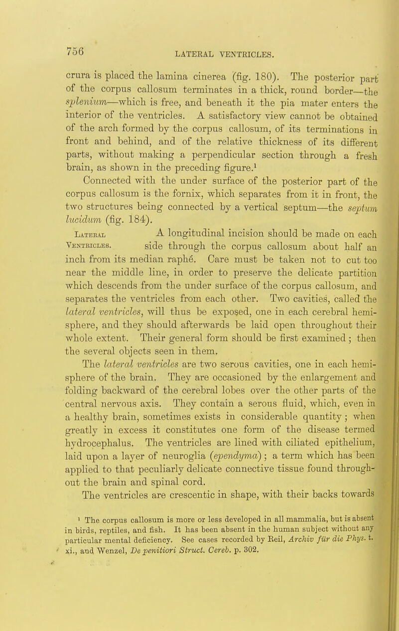 crura is placed the lamina cinerea (fig. 180). The posterior part of the corpus callosum terminates in a thick, round border—the spleimim—which is free, and beneath it the pia mater enters the interior of the ventricles. A satisfactory view cannot be obtained of the arch formed by the corpus callosum, of its terminations in front and behind, and of the relative thickness of its different parts, without making a perpendicular section through a fresh brain, as shown in the preceding figure.' Connected with the under surface of the posterior part of the corpus callosum is the fornix, which separates from it in front, the two structures being connected by a vertical septum—the septum lucidum (fig. 184). Lateral A longitudinal incision should be made on each Ventricles. side through the corpus callosum about half an inch from its median raphg. Care must be taken not to cut too near the middle line, in order to preserve the delicate partition which descends from the under surface of the corpus callosum, and separates the ventricles from each other. Two cavities, called the lateral ventricles, will thus be exposed, one in each cerebral hemi- sphere, and they should afterwards be laid open throughout their whole extent. Their general form should be first examined ; then the several objects seen in them. The lateral ventricles are two serous cavities, one in each hemi- sphere of the brain. They are occasioned by the enlargement and folding backward of the cerebral lobes over the other parts of the central nervous axis. They contain a serous fluid, which, even in a healthy brain, sometimes exists in considerable quantity; when greatly in excess it constitutes one form of the disease termed hydrocephalus. The ventricles are lined with ciliated epithelium, laid upon a layer of neuroglia (ependymd); a term which has been applied to that peculiarly delicate connective tissue found through- out the brain and spinal cord. The ventricles are crescentic in shape, with their backs towards ' The corpus callosum is more or less developed in all mammalia, but is absent in birds, reptiles, and fish. It has been absent in the human subject without any particular mental deficiency. See cases recorded by Eeil, Archiv fUr die Phys. t. - xi., and Wenzel, De ;penitiori Struct. Cereb, p. 302.