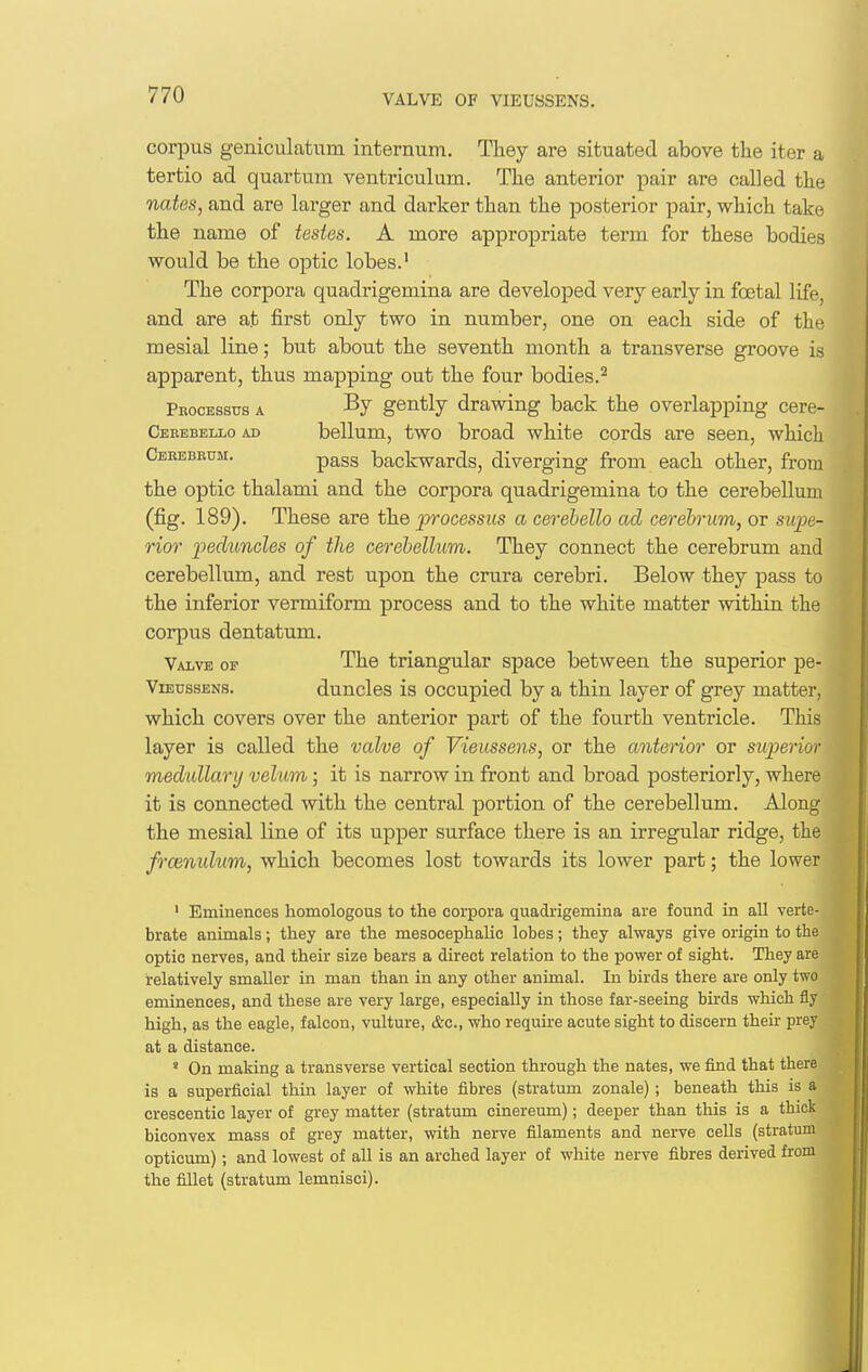 VALVE OF VIEUSSENS. corpus geniculatnm internum. They are situated above the iter a tertio ad quartum ventricuhim. The anterior pair are called the nates, and are larger and darker than the posterior pair, which take the name of testes. A more appropriate term for these bodies would be the optic lobes.' The corpora quadrigemina are developed very early in fcetal life, and are at first only two in number, one on each side of the mesial line; but about the seventh month a transverse groove is apparent, thus mapping out the four bodies.^ Processus a By gently drawing back the overlapping cere- Ceeebello ad bellum, two broad white cords are seen, which Cebebeum. pagg backwards, diverging from each other, from the optic thalami and the corpora quadrigemina to the cerebellum (fig. 189). These are the processus a cerehello ad cerebrum, or siqje- rior peduncles of the cerebellum. They connect the cerebrum and cerebellum, and rest upon the crura cerebri. Below they pass to the inferior vermiform process and to the white matter within the corpus dentatum. Valve op The triangular space between the superior pe- ViEussENs. duncles is occupied by a thin layer of grey matter, which covers over the anterior part of the fourth ventricle. This layer is called the valve of Vieussens, or the anterior or superior medidlarij velum; it is narrow in front and broad posteriorly, where it is connected with the central portion of the cerebellum. Along the mesial line of its upper surface there is an irregular ridge, the frcemdum, which becomes lost towards its lower part; the lower ' Eminences homologous to the corpora quadrigemina are found in all verte- brate animals; they are the mesocephalic lobes; they always give origin to the optic nerves, and their size bears a direct relation to the power of sight. They are relatively smaller in man than in any other animal. In birds there are only two eminences, and these are very large, especially in those far-seeing birds which fly high, as the eagle, falcon, vulture, &c., who require acute sight to discern their prey at a distance. ' On making a transverse vertical section through the nates, we find that there is a superficial thin layer of white fibres (stratum zonale) ; beneath this is a crescentic layer of grey matter (stratum cinereum); deeper than this is a thick biconvex mass of grey matter, with nerve filaments and nerve cells (stratum opticum); and lowest of all is an arched layer of white nerve fibres derived from the fillet (stratum lemnisci).