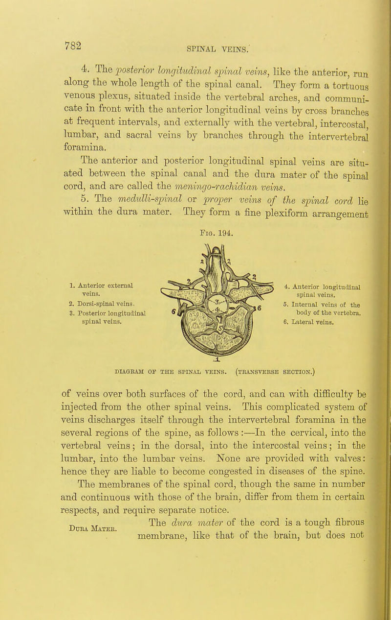 4. The -posterior lonrjiiudinal sinnal veins, like the anterior, run along the whole length of the spinal canal. They form a tortuous venous plexus, situated inside the vertebral arches, and communi- cate in front with the anterior longitudinal veins by cross branches at frequent intervals, and externally with the vertebral, intercostal lumbar, and sacral veins by branches through the intervertebral foramina. The anterior and posterior longitudinal spinal veins are situ- ated between the spinal canal and the dura mater of the spinal cord, and are called the meningo-rachidian veins. 6. The medulli-spinal or proper veins of the spinal cord lie within the dura mater. They form a fine plexiform arrangement 1. Anterior external veins. 2. Dorsi-spinal veins. 3. Posterior longitudinal spinal veins. Fig. 194. 4. Anterior longitudinal spinal veins. 5. Internal veins o£ the body of the vertebra. 6. Lateral veins. DUGKAM OP THE SPINAL VEINS. (TRANSVERSE SECTION.) of veins over both surfaces of the cord, and can with difficulty be injected from the other spinal veins. This complicated system of veins discharges itself through the intervertebral foramina in the several regions of the spine, as follows :—In the cervical, into the vertebral veins; in the dorsal, into the intercostal veins; in the lumbar, into the lumbar veins. None are provided with valves: hence they are liable to become congested in diseases of the spine. The membranes of the spinal cord, though the same in number and continuous with those of the brain, differ from them in certain respects, and require separate notice. ^ The dura mater of the cord is a touffh fibrous Dura Mater. p i i • i t membrane, like that of the brain, but does not i