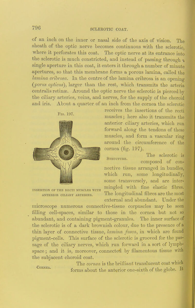 Fig. 197. of an incli on the inner or nasal side of the axis of vision. The sheath of the optic nerve becomes continuous with the sclerotic, where it perforates this coat. The optic nerve at its entrance into the sclerotic is much constricted, and instead of passing through a single aperture in this coat, it enters it through a number of minute apertures, so that this membrane forms a porous lamina, called the lamina crihrosa. In the centre of the lamina cribrosa is an opening (jporus opticus), larger than the rest, which transmits the arteria centralis retinae. Around the optic nerve the sclerotic is pierced by the ciliary arteries, veins, and nerves, for the supply of the choroid and iris. About a quarter of an inch from the cornea the sclerotic receives the insertions of the recti muscles; here also it transmits the anterior ciliary arteries, which run forward along the tendons of these muscles, and form a vascular rms around the circumference of the cornea (fig. 197). The sclerotic is SinucTTjnE. T „ composed oi con- nective tissue arranged in bundles, which run, some longitudinally, some transversely, and are inter- mingled with fine elastic fibres. The longitudinal fibres are the most external and abundant. Under the microscope numerous connective-tissue corpuscles may be seen filling cell-spaces, similar to those in the cornea but not so abundant, and containing pigment-granules. The inner surface of the sclerotic is of a dark brownish colour, due to the presence of a thin layer of connective tissue, lamina fusca, in which are found pigment-cells. This surface of the sclerotic is grooved for the pas- sage of the ciliary nerves, which run forward in a sort of lymph- space ; and it is, moreover, connected by filamentous tissue with the subjacent choroid coat. The cornea is the brilliant translucent coat which forms about the anterior one-sixth of the globe. It INSERTION OP THE HECTI MUSCLES WITH ANTERIOn CILIARY AETEKIES. CORKEA.