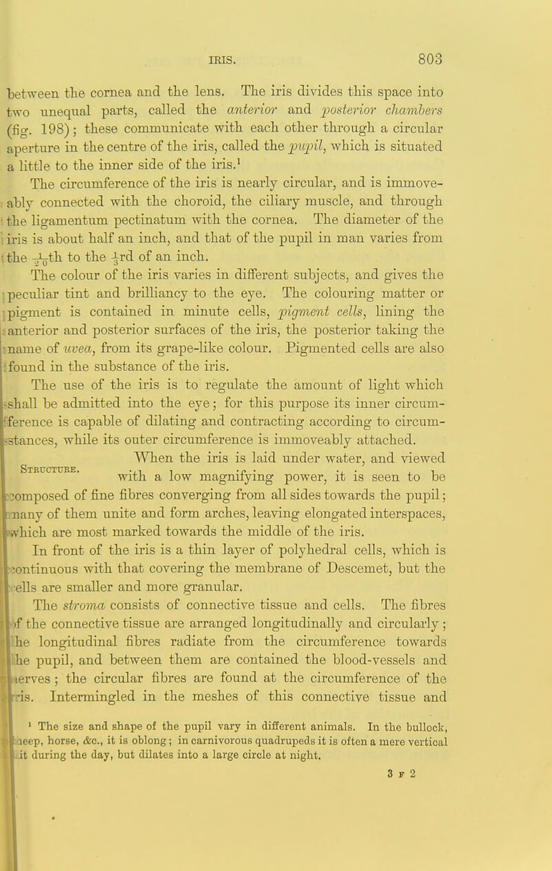 between the cornea and the lens. The iris divides this space into two unequal parts, called the anterior and poderior chambers (fig. 198) ; these communicate with each other through a circular aperture in the centre of the iris, called the pupil, which is situated a little to the inner side of the iris.' The circumference of the iris is nearly circular, and is immove- ablv connected with the choroid, the ciliary muscle, and through : the ligamentum pectinatum with the cornea. The diameter of the 'i iris is about half an inch, and that of the pupil in man varies from t the ^th to the of an inch. The colour of the iris varies in different subjects, and gives the ■ peculiar tint and brilliancy to the eye. The colouring matter or •pigment is contained in minute cells, pigment cells, lining the anterior and posterior surfaces of the iris, the posterior taking the I name of iivea, from its grape-like coloiir. Pigmented cells are also t found in the substance of the iris. The use of the iris is to regulate the amount of light which fshall be admitted into the eye; for this purpose its inner circum- fference is capable of dilating and contracting according to circum- stances, while its outer circumference is immoveably attached. When the iris is laid under water, and viewed with a low magnifying power, it is seen to be composed of fine fibres converging from all sides towards the jDupil; nany of them unite and form arches, leaving elongated interspaces, which are most marked towards the middle of the iris. In front of the iris is a thin layer of polyhedral cells, which is continuous with that covering the membrane of Descemet, but the <!ells are smaller and more granular. The stroma consists of connective tissue and cells. The fibres >l)f the connective tissue are arranged longitudinally and circularly ; the longitudinal fibres radiate from the circumference towards e pupil, and between them are contained the blood-vessels and erves; the circular fibres are found at the circumference of the , Intermingled in the meshes of this connective tissue and The size and shape of the pupil vary in different animals. In the bullock, deep, horse, &c., it is oblong; in carnivorous quadrupeds it is often a mere vertical ; during the day, but dilates into a large circle at night. 3 F 2