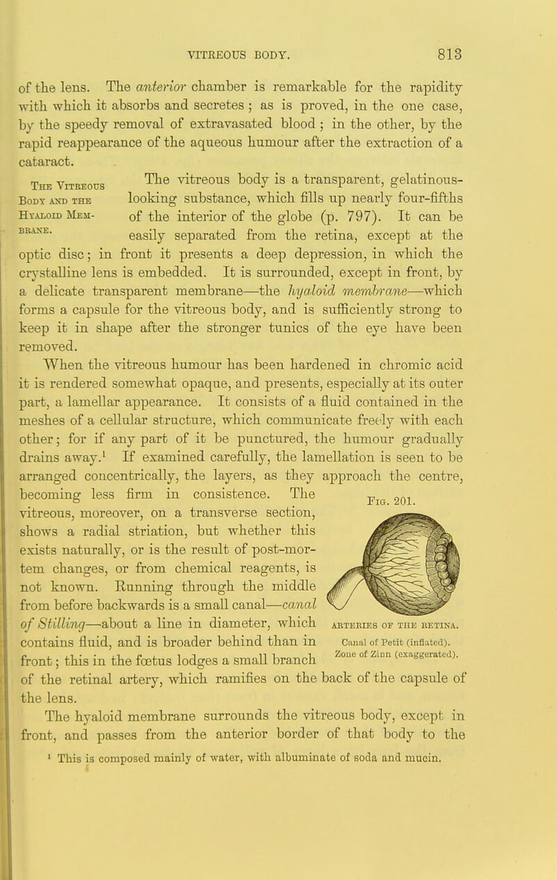 VITREOUS BODY. 818 The Vitreous Body amd the Hyaloid Mem- BRA»{E. of the lens. The anterior chamber is remarkable for the rapidity with which it absorbs and secretes ; as is proved, in the one case, by the speedy removal of extravasated blood ; in the other, by the rapid reappearance of the aqueous humour after the extraction of a cataract. The vitreous body is a transparent, gelatinous- looking substance, which fills up nearly four-fifths of the interior of the globe (p. 797). It can be easily separated from the retina, except at the optic disc; in front it presents a deep depression, in which the crystalline lens is embedded. It is surrounded, except in front, by a delicate transparent membrane—the hyaloid membrane—which forms a capsule for the vitreous body, and is sufficiently strong to keep it in shape after the stronger tunics of the eye have been removed. When the vitreous humour has been hardened in chromic acid it is rendered somewhat opaque, and presents, especially at its outer part, a lamellar appearance. It consists of a fluid contained in the meshes of a cellular structure, which communicate fretdy with each other; for if any part of it be punctured, the humour gradually drains away.' If examined carefully, the lamellation is seen to be arranged concentrically, the layers, as they approach the centre, becoming less firm in consistence. The vitreous, moreover, on a transverse section, shows a radial striation, but whether this exists naturally, or is the result of post-mor- tem changes, or from chemical reagents, is not known. Running through the middle from before backwards is a small canal—canal of Stilling—about a line in diameter, which contains fluid, and is broader behind than in front; this in the foetus lodges a small branch of the retinal artery, which ramifies on the back of the capsule of the lens. The hyaloid membrane surrounds the vitreous body, except in front, and passes from the anterior border of that body to the ' This is composed mainly of water, with albuminate of soda and mucin. Pig. 201. AETEEIES or THE KETINA. Canal of Petit (infl.Ued). Zoue of Zinn (exaggerated).