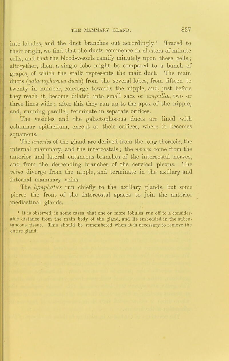 into lobules, and the duct branches out accordingly.' Traced to their origin, we find that the ducts commence in clusters of minute cells, and that the blood-vessels ramify minutely upon these cells ; altogether, then, a single lobe might be compared to a bunch of grapes, of which the stalk represents the main duct. The main ducts (fjaladophorous duds) from the several lobes, from fifteen to twenty in number, converge towards the nipple, and, just before they reach it, become dilated into small sacs or ampullce, two or three lines wide ; after this they run up to the apex of the nipple, and, running parallel, terminate in separate orifices. The vesicles and the galactophorous ducts are lined with columnar epithelium, except at their orifices, where it becomes squamous. The arteries of the gland are derived from the long thoracic, the internal mammary, and the intercostals; the nerves come from the anterior and lateral cutaneous branches of the intercostal nerves, and from the descending branches of the cervical plexus. The veins diverge from the nipple, and terminate in the axillary and internal mammary veins. The lymphatics run chiefly to the axillary glands, but some jDierce the front of the intercostal spaces to join the anterior mediastinal glands. ' It is observed, in some cases, that one or more lobules run off to a consider- able distance from the main body of the gland, and lie embedded in the subcu- taneous tissue. This should be remembered when it is necessary to remove the entire gland.