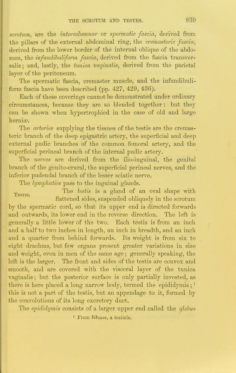 so'otum, are the intercolumnar or spermatic fascia, derived from, the pillars of the external abdominal ring, the cremasteric fascia, derived from the lower border of the internal oblique of the abdo- men, the infundihuliform fascia, derived from the fascia transver- sal is ; and, lastly, the tunica vaginalis, derived from the parietal layer of the peritoneum. The spermatic fascia, cremaster muscle, and the infandibuli- form fascia have been described (pp. 427, 429, 436). Each of these coverings cannot be demonstrated under ordinary circumstances, because they are so blended together : but they can be shown when hypertrophied in the case of old and large hermge. The arteries supplying the tissues of the testis are the cremas- teric branch of the deep epigastric artery, the superficial and deep external pudic branches of the common femoral artery, and the superficial perineal branch of the internal pudic artery. The nerves are derived from the ilio-inguinal, the genital branch of the genito-crural, the superficial perineal nerves, and the inferior pudendal branch of the lesser sciatic nerve. The lymphatics pass to the inguinal glands. rj,^^^^ The testis is a gland of an oval shape with flattened sides, suspended obliquely in the scrotum by the spermatic cord, so that its upper end is directed forwards and outwards, its lower end in the reverse direction. The left is generally a little lower of the two. Each testis is from an inch and a half to two inches in length, an inch in breadth, and an inch and a quarter from behind forwards. Its weight is from six to eight drachms, but few organs present greater variations in size and weight, even in men of the same age ; generally speaking, the left is the larger. The front and sides of the testis are convex and smooth, and are covered with the visceral layer of the tunica vaginalis; but the posterior surface is only partially invested, as there is here placed a long narrow body, termed the epididymis; ^ this is not a part of the testis, but an appendage to it, formed by the convolutions of its long excretory duct. The epididymis consists of a larger upper end called the globus ' Prom SfSuyuoy, a testicle.